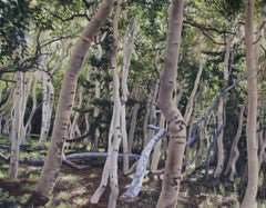 Aspen Grove, landscap22x28, oil painting, in the  Realism style, Texas artist