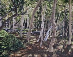 Aspen Grove, landscap22x28, oil painting, in the  Realism style, Texas artist