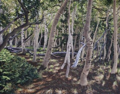 Bagno nella foresta , dipinto a olio su un paesaggio, nel  Stile realista, artista texano