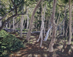 Baigneur de la forêt, peinture à l'huile de paysage  Style réaliste du Texas