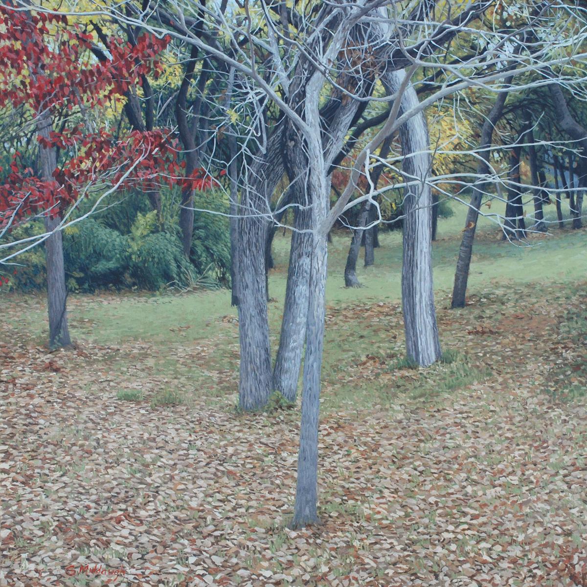 Autumn, landscape, 30 x 30, oil painting, in the  Realism style, Texas artist - Gray Landscape Painting by Garrett Middaugh