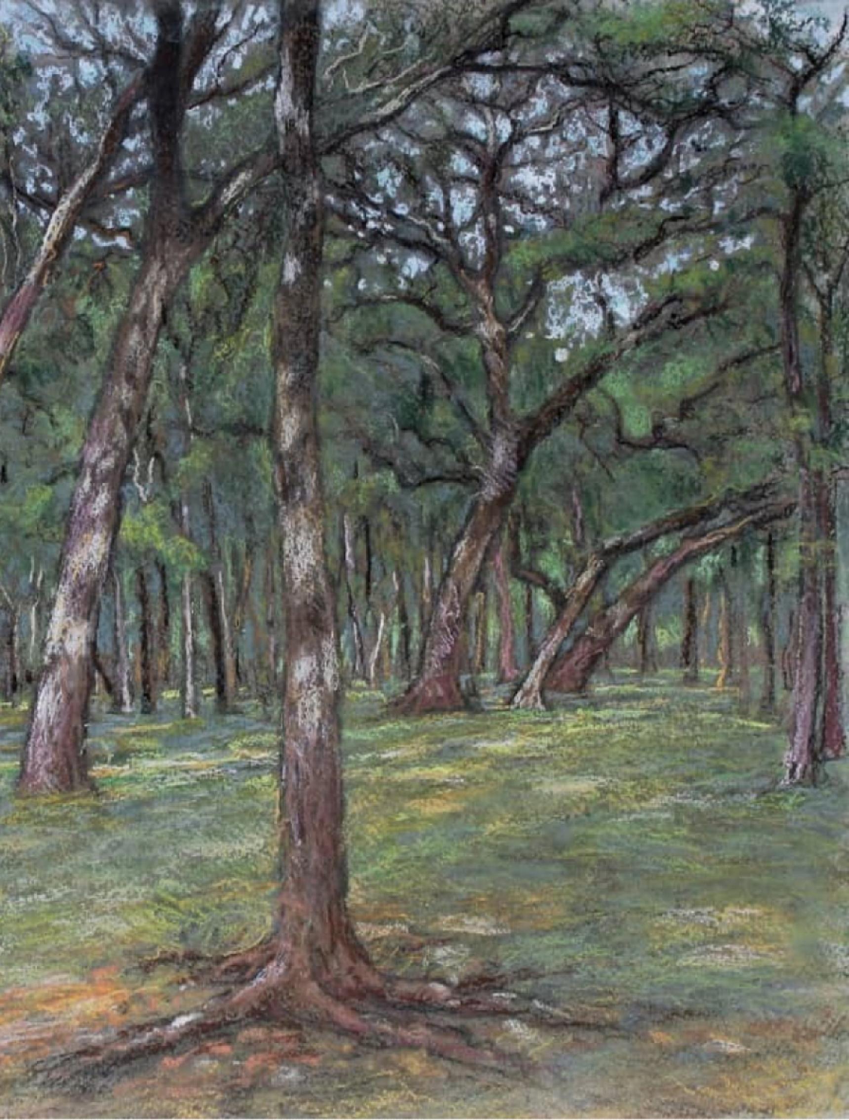 Meeting the Shade, Austin, Texas Landscape, Pastel, Framed, Free Shipping - Painting by Garrett Middaugh