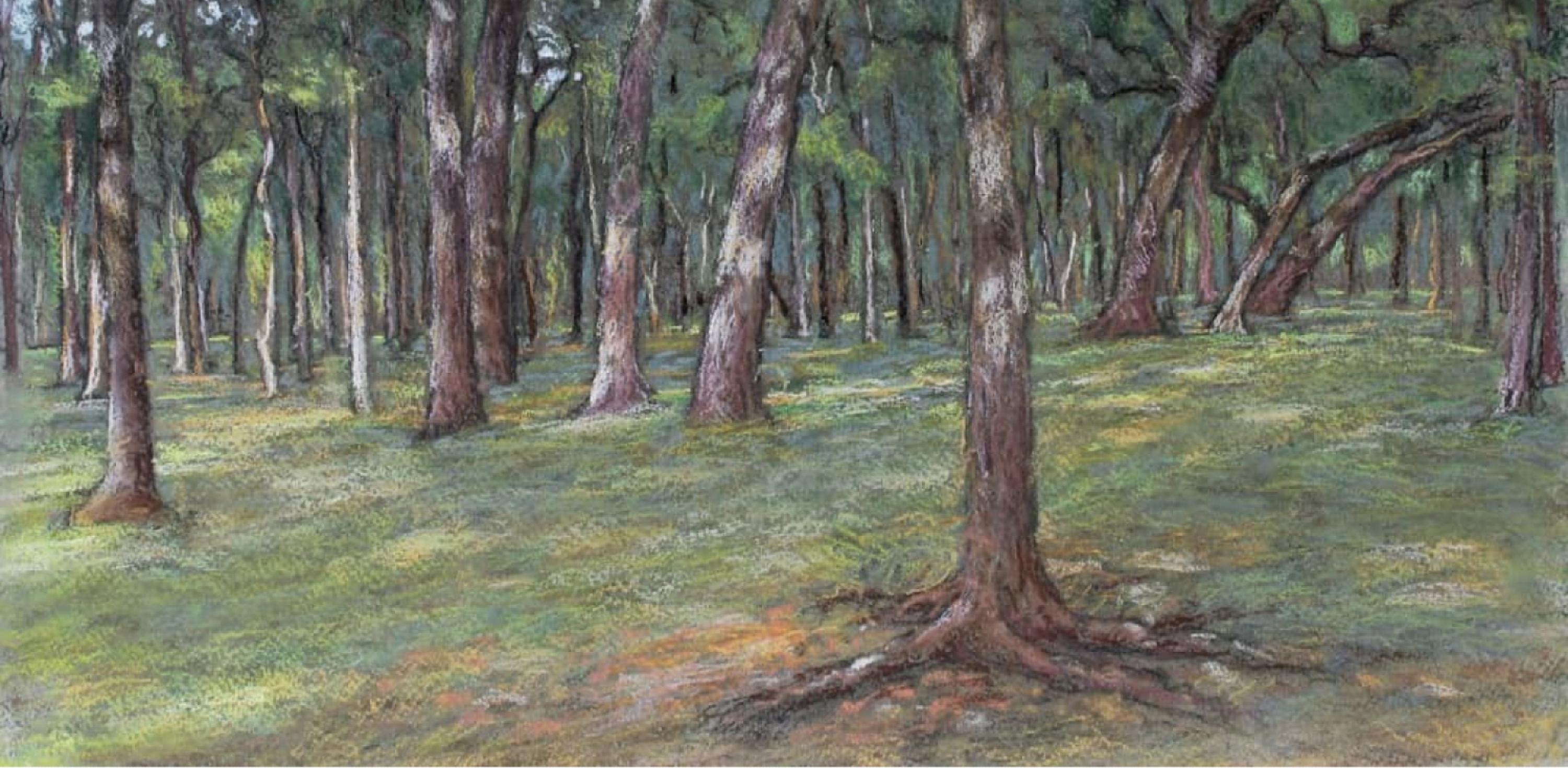 Meeting the Shade, Austin, Texas Landscape, Pastel, Framed, Free Shipping - American Realist Painting by Garrett Middaugh