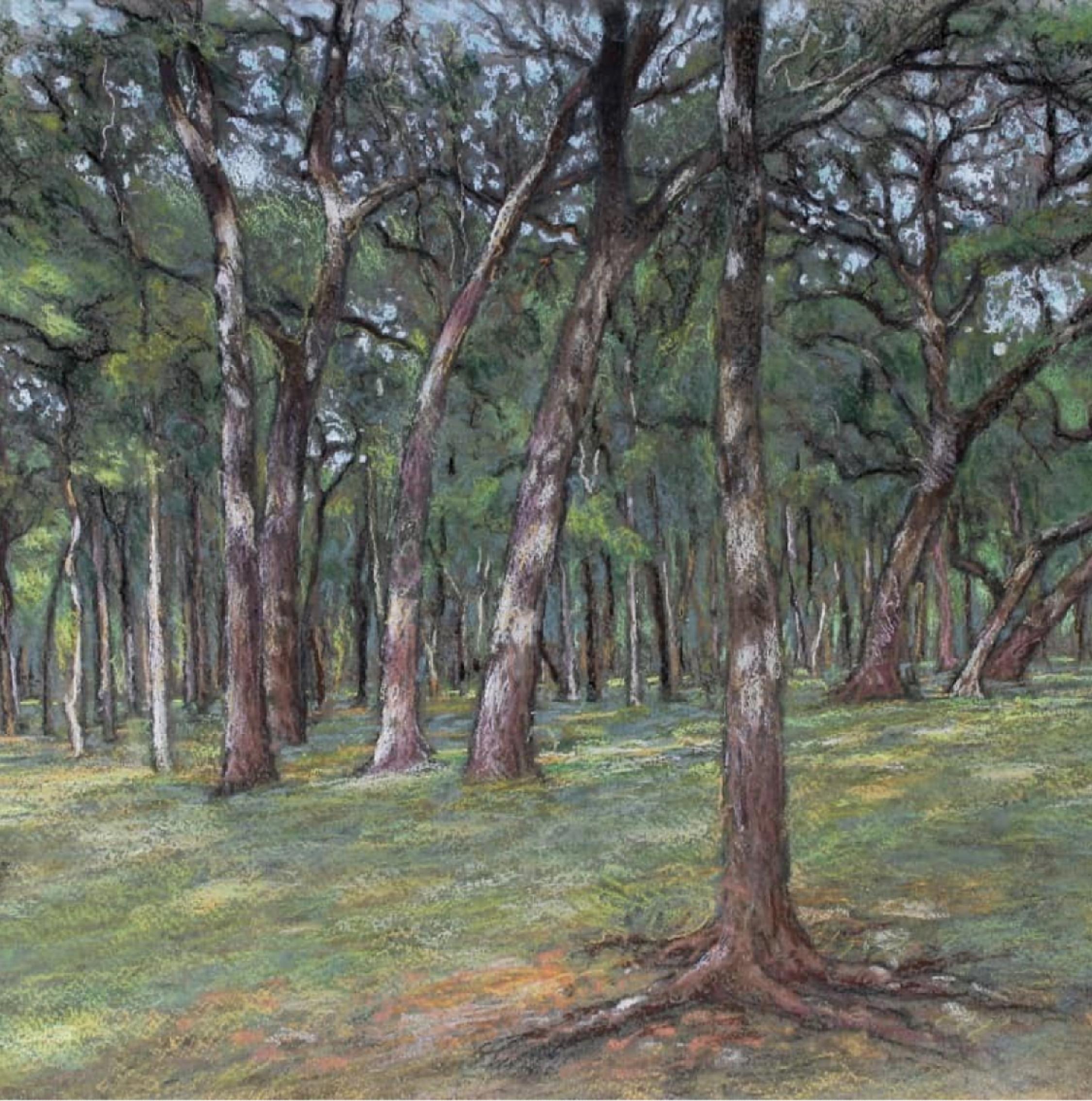Meeting the Shade, Austin, Texas Landscape, Pastel, Framed, Free Shipping - Gray Landscape Painting by Garrett Middaugh