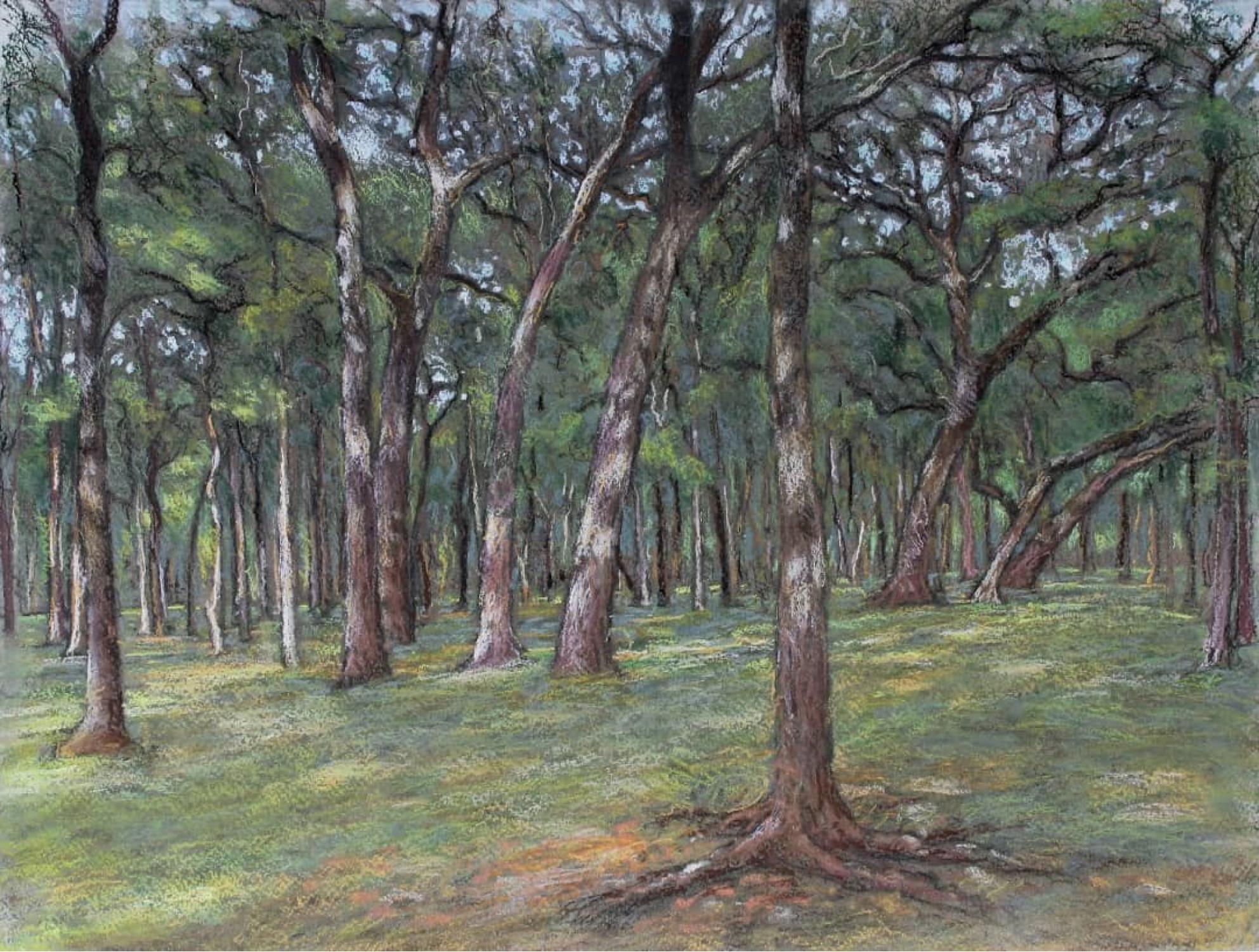 Meeting the Shade, Austin, Texas Landschaft, Pastell, gerahmt, kostenloser Versand