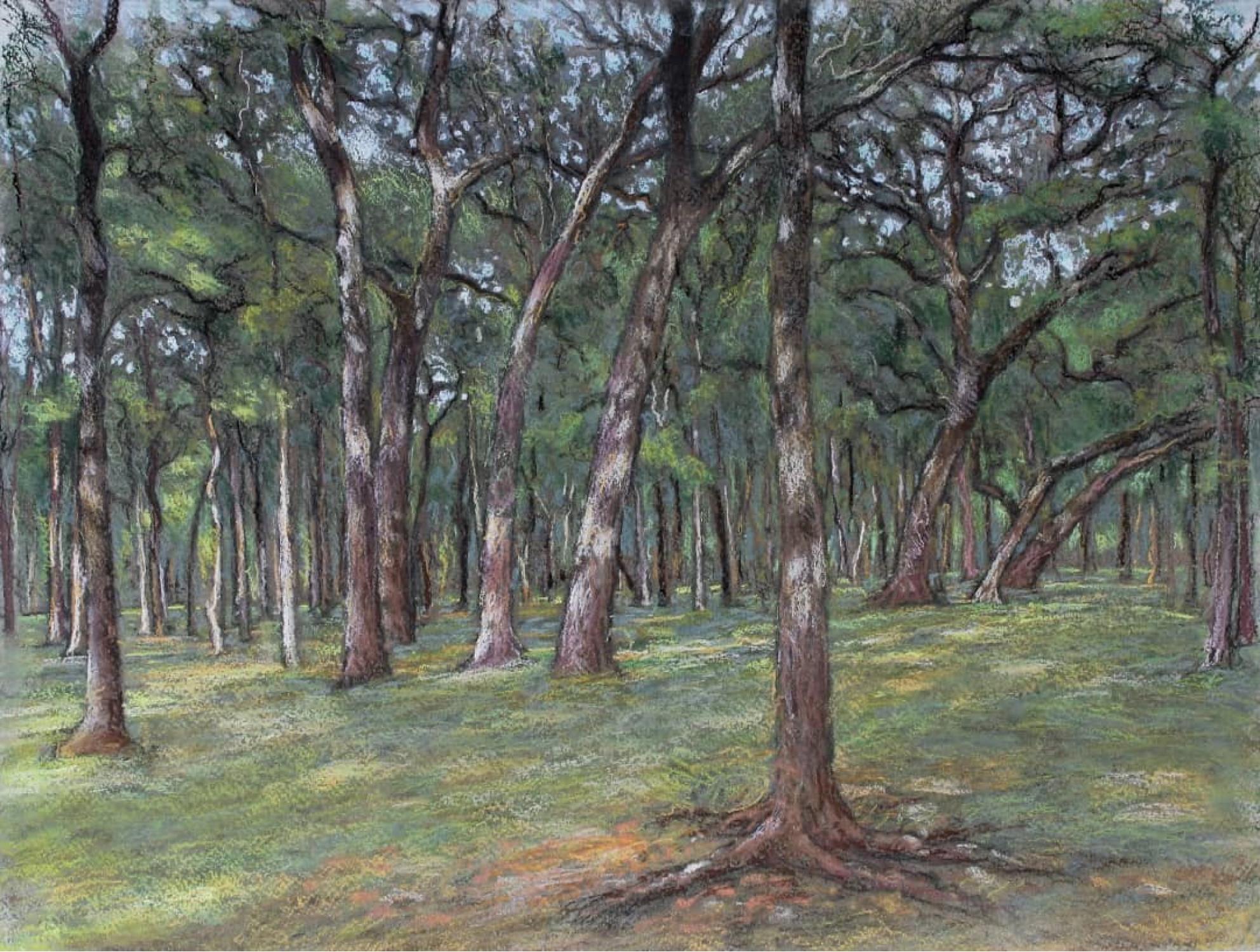 Garrett Middaugh Landscape Painting - Meeting the Shade, Austin, Texas Landscape, Pastel, Framed, Free Shipping