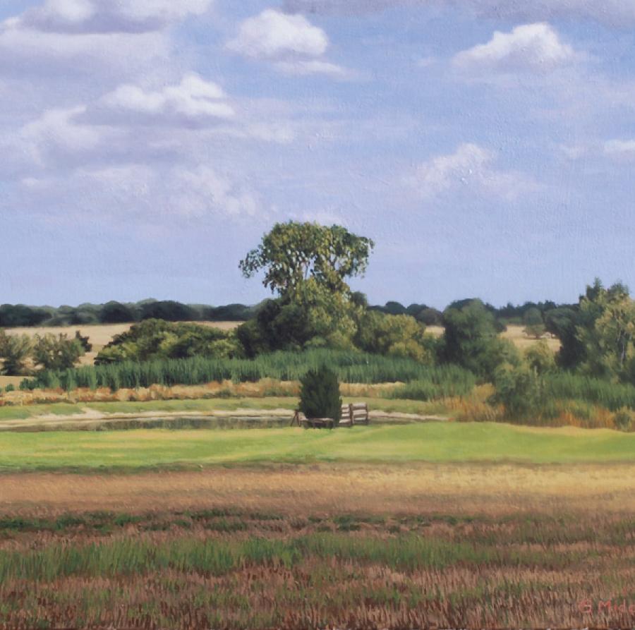 garrett pond