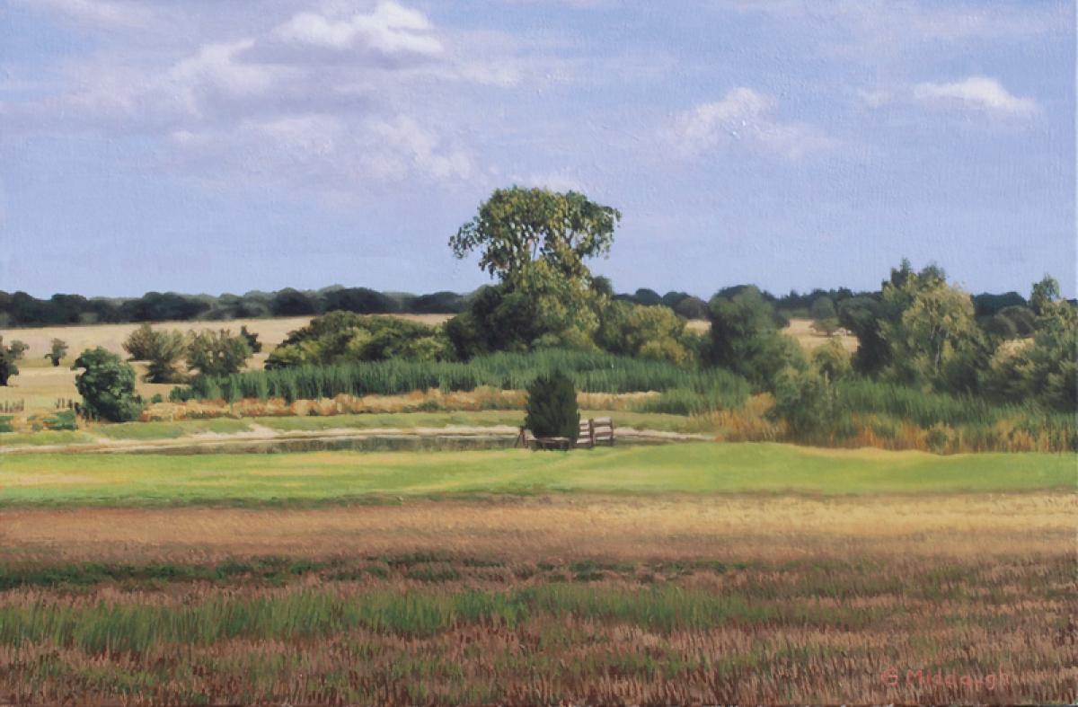 Stock Pond in the Summer, Landscape Oil , Realism, Texas Hill Country - American Realist Painting by Garrett Middaugh