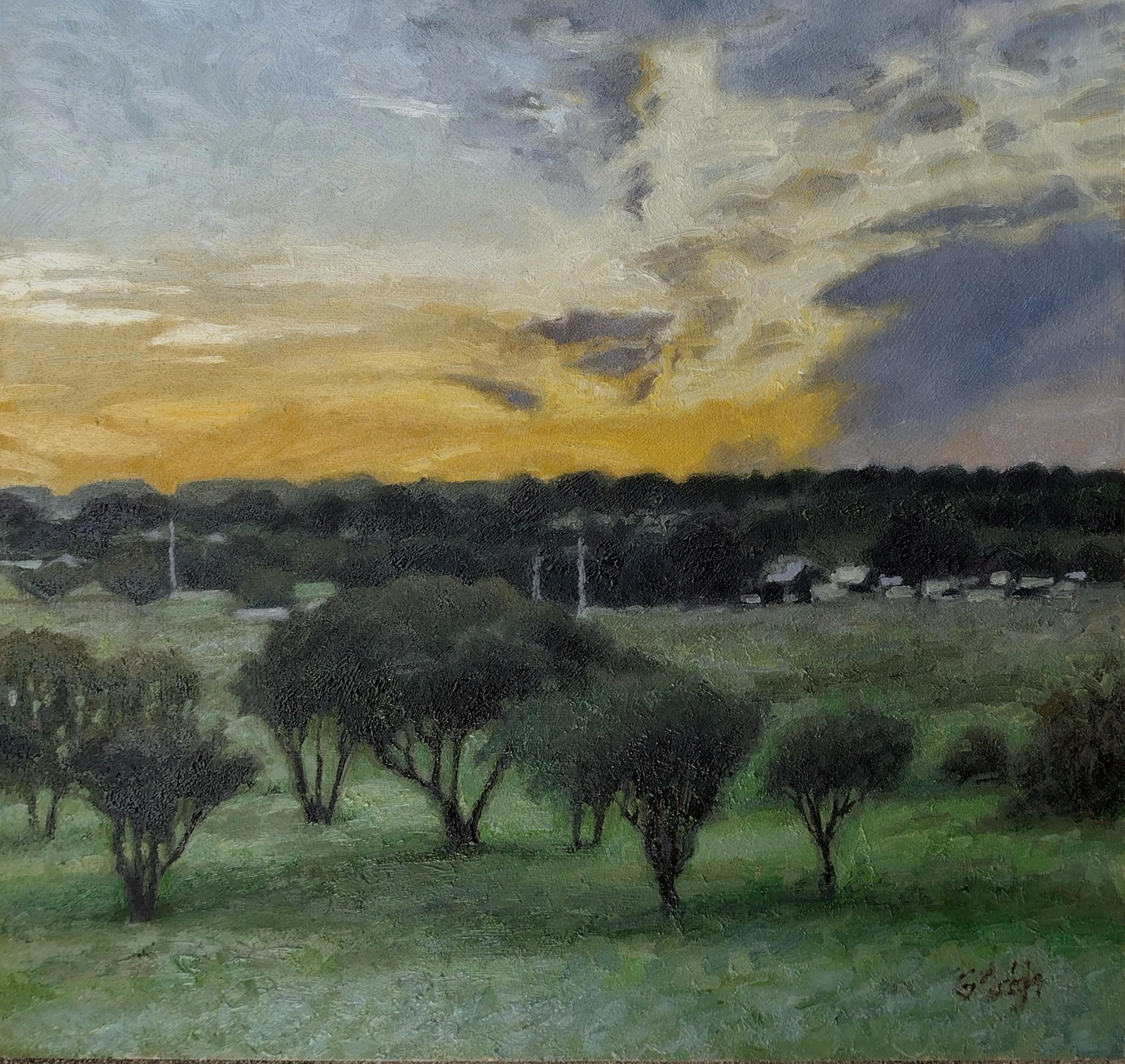 Atardecer, San Antonio, 20x16, óleo sobre panel Texas - Painting realista estadounidense de Garrett Middaugh