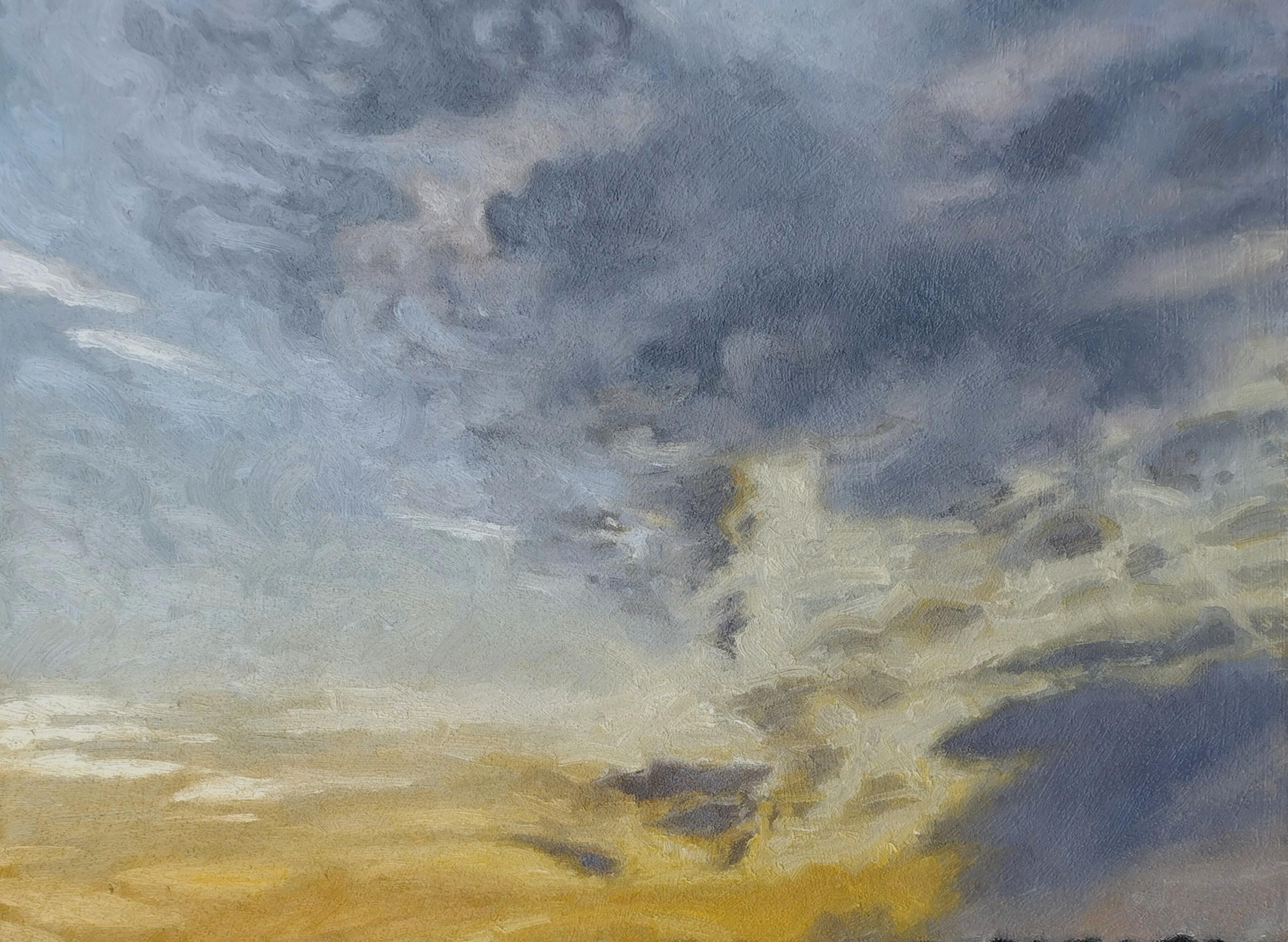 Atardecer, San Antonio, 20x16, óleo sobre panel Texas - Landscape Painting Gris de Garrett Middaugh