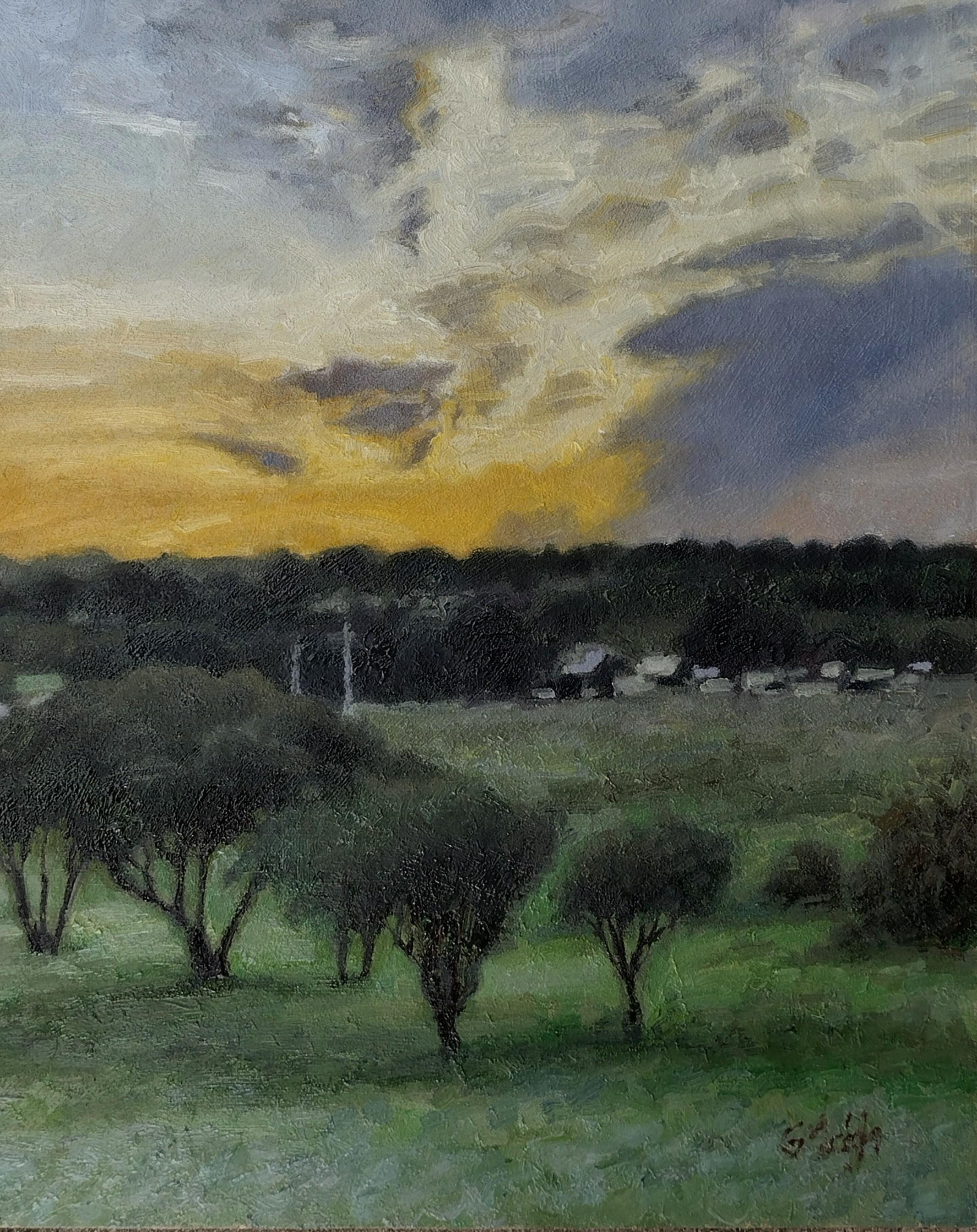   Atardecer, San Antonio, 20x16, óleo sobre panel Texas 

Este cuadro de Garrett Middaugh muestra la belleza de un atardecer en Texas  a las afueras de San Antonio. Al fondo se ve un grupo de colinas bajas que rodean San Antonio. San Antonio es una