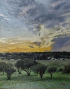 Tramonto, San Antonio, 20x16, olio su pannello, Texas