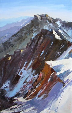 Bird View Landscape Original oil Painting, Ready to Hang