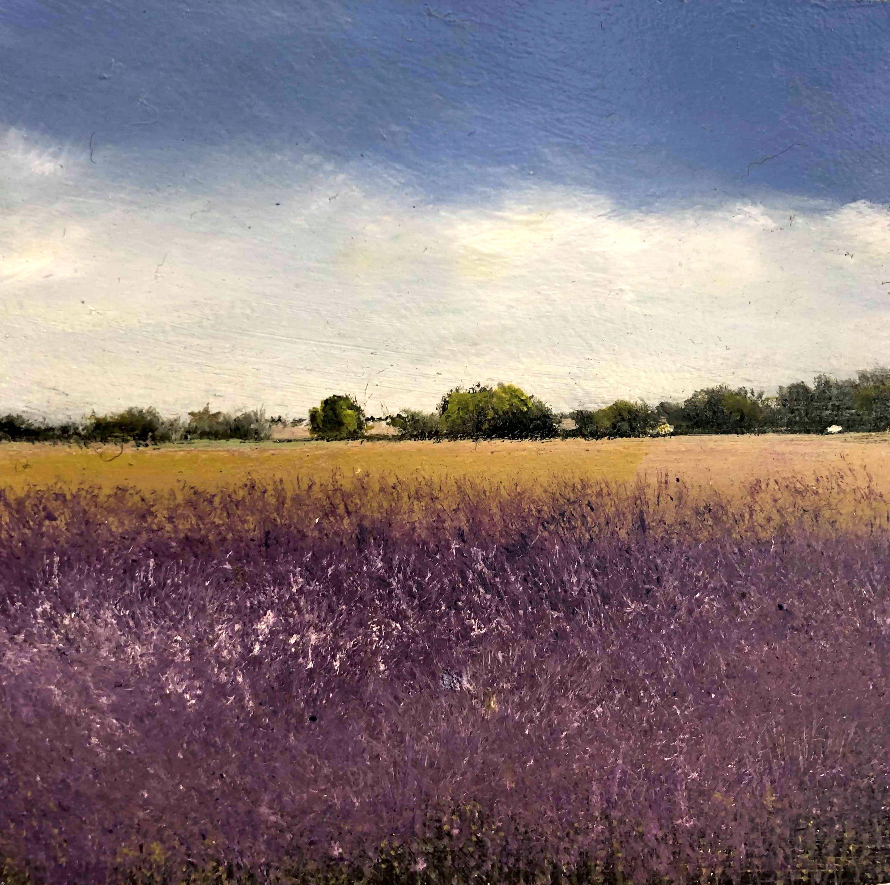Lavender Original miniature landscape painting Contemporary Impressionism  - Painting by Garry Raymond - Pereira