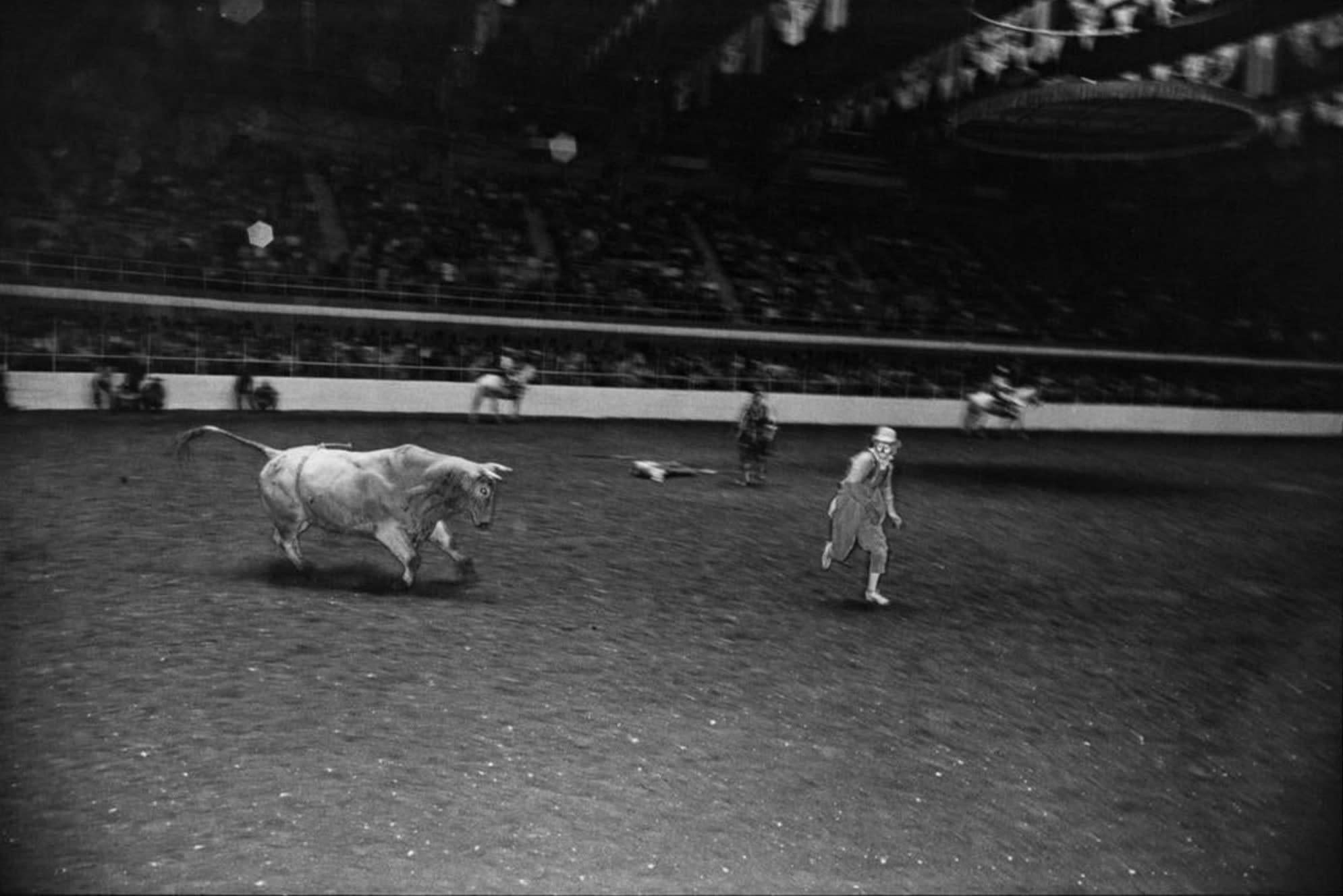 Garry Winogrand Black and White Photograph - Fort Worth Stock Show and Rodeo, Texas