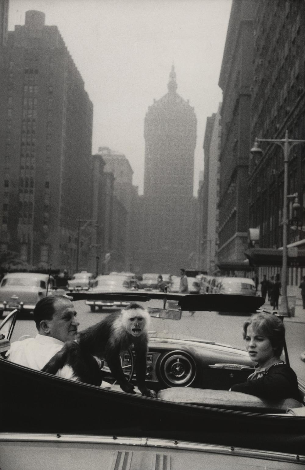 Garry Winogrand Black and White Photograph - Park Avenue