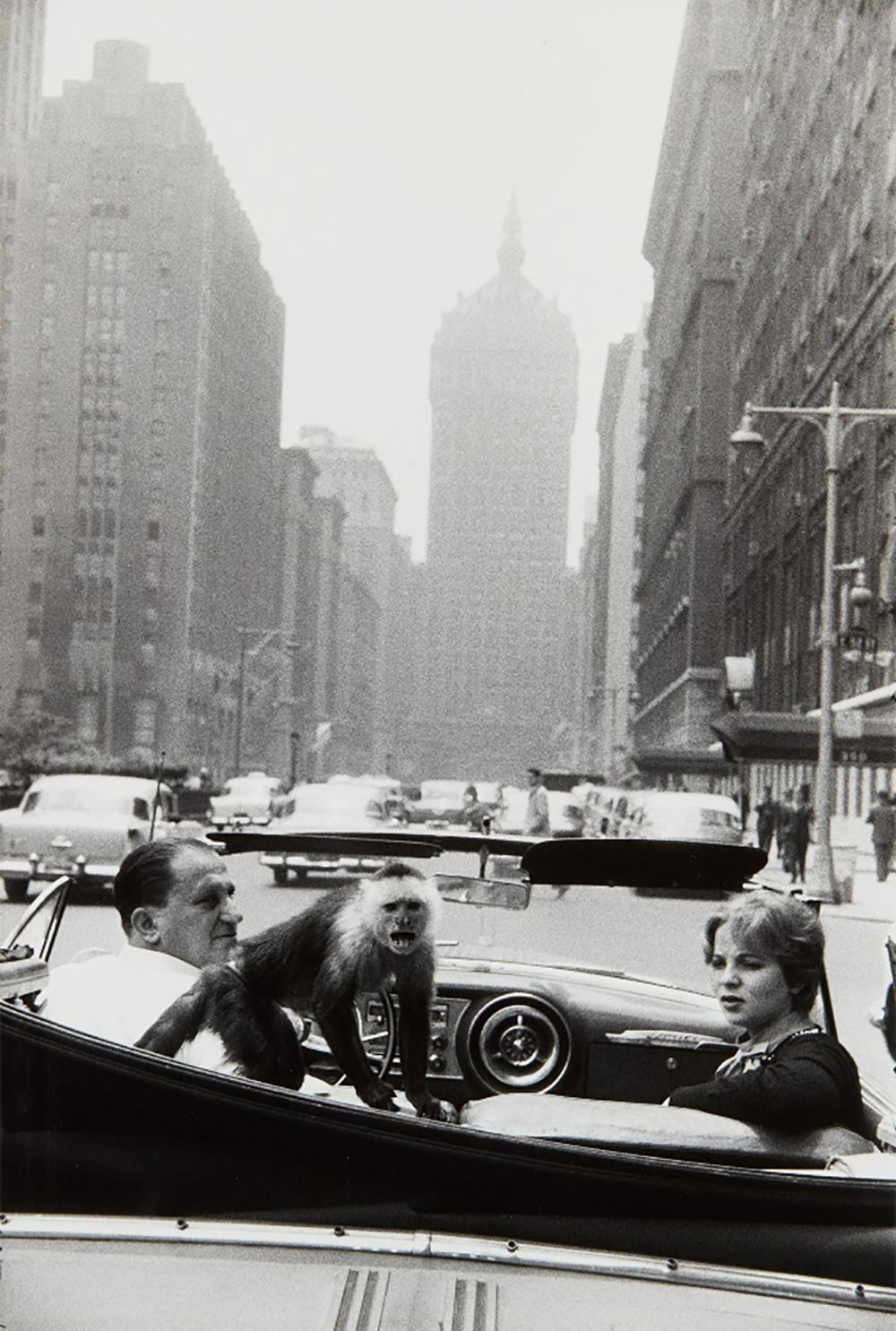 Garry Winogrand Black and White Photograph - Park Avenue