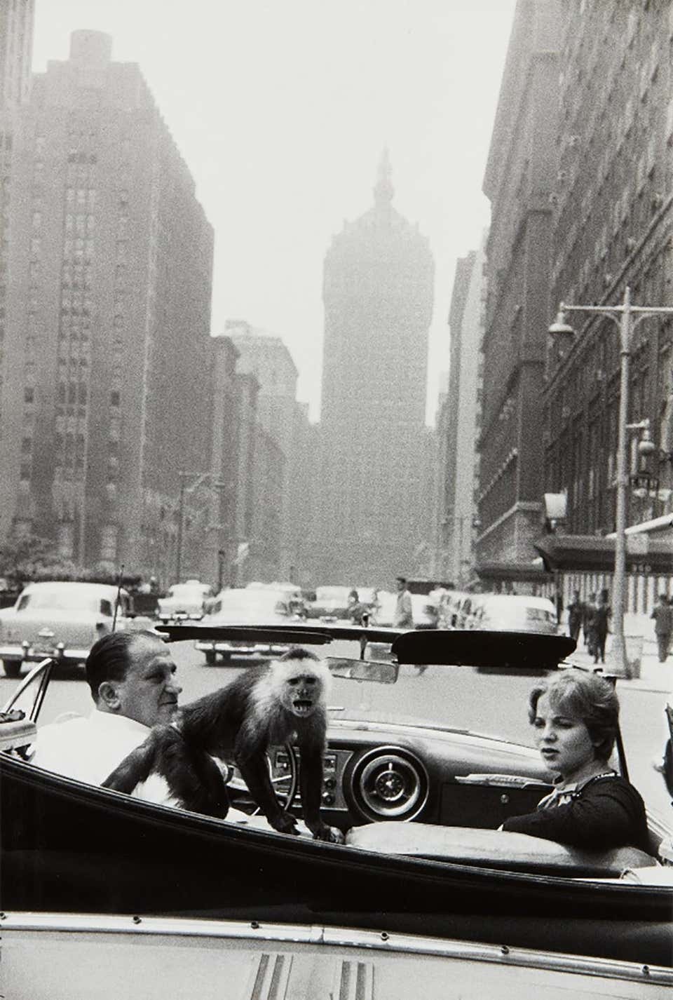 Park Avenue