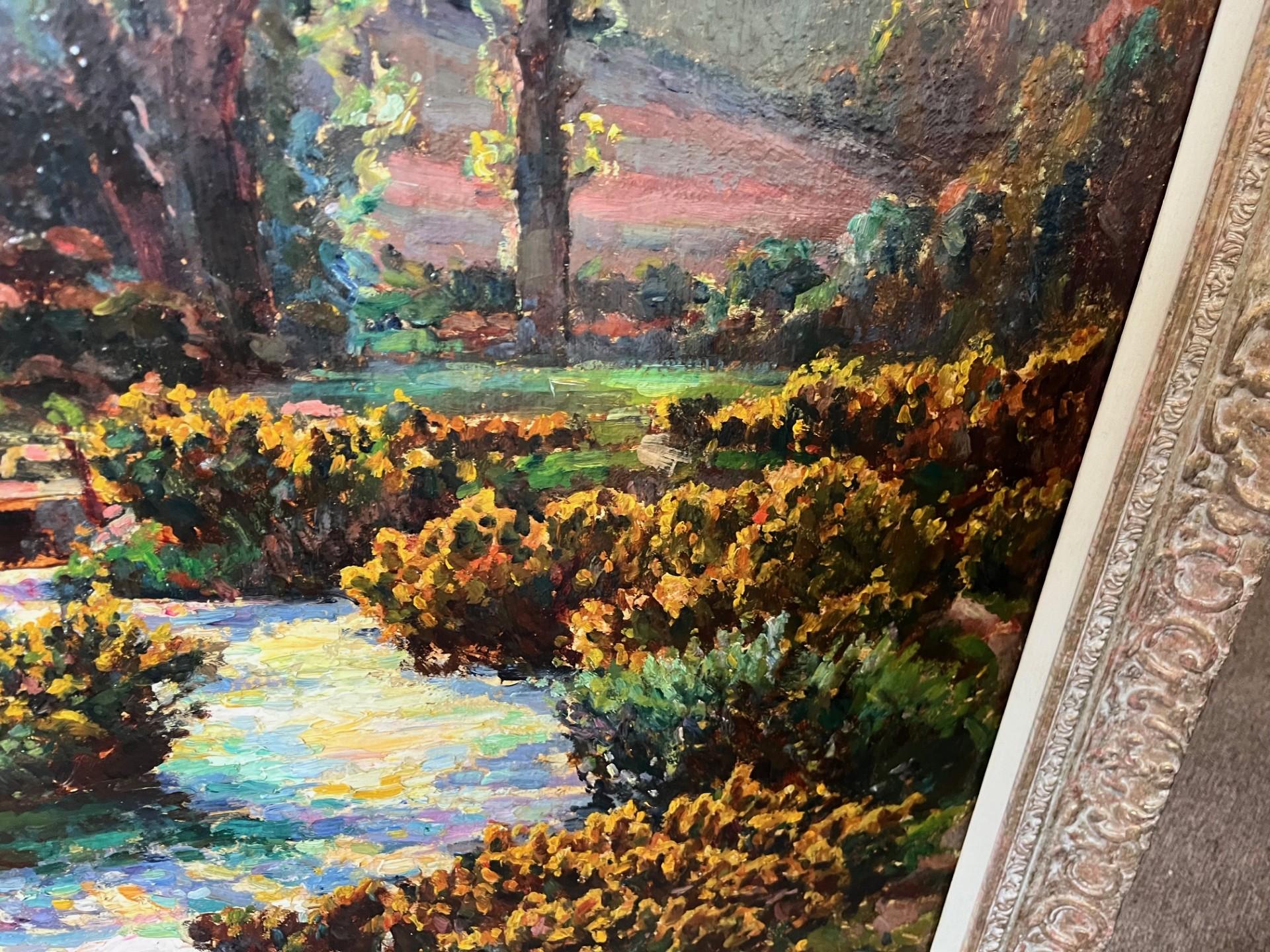gorse for sale