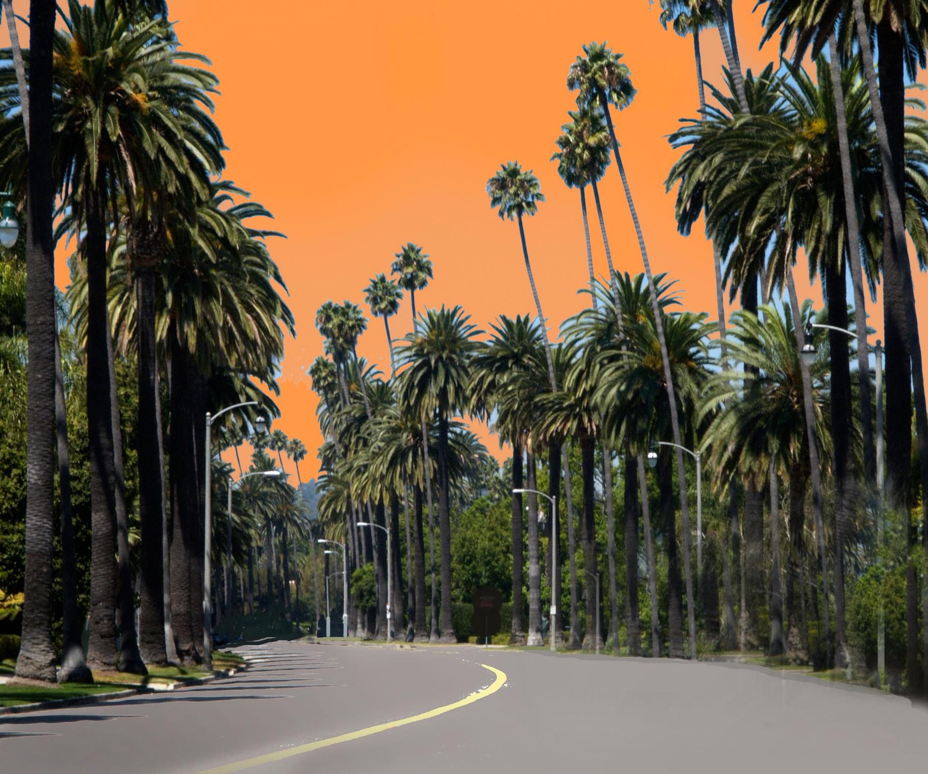 Gary Bernstein Landscape Photograph - Beverly Drive 3 (this is a large canvas print; see smaller sizes below)