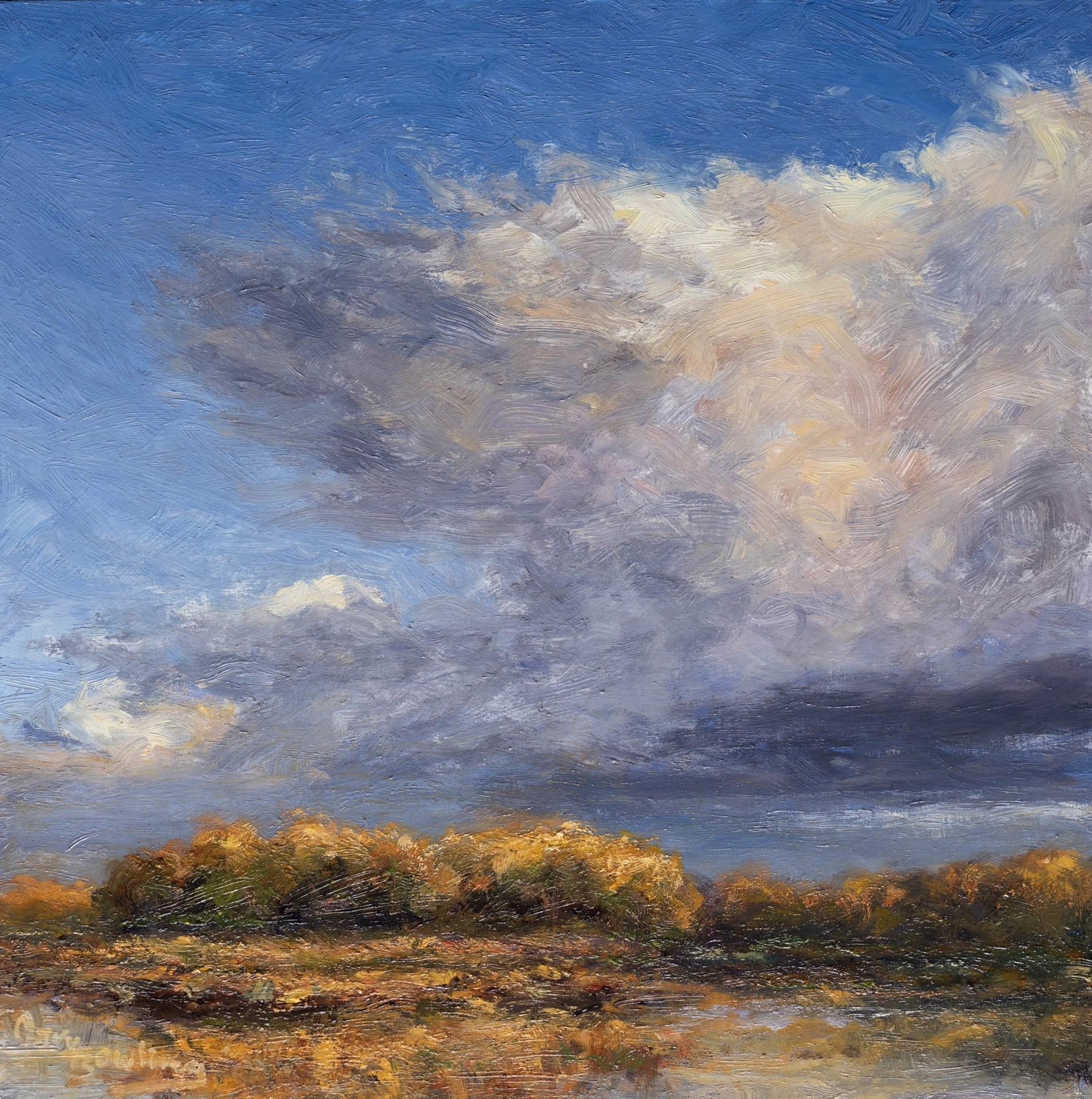 Gary Bowling Landscape Painting - Drifting Past, 2022