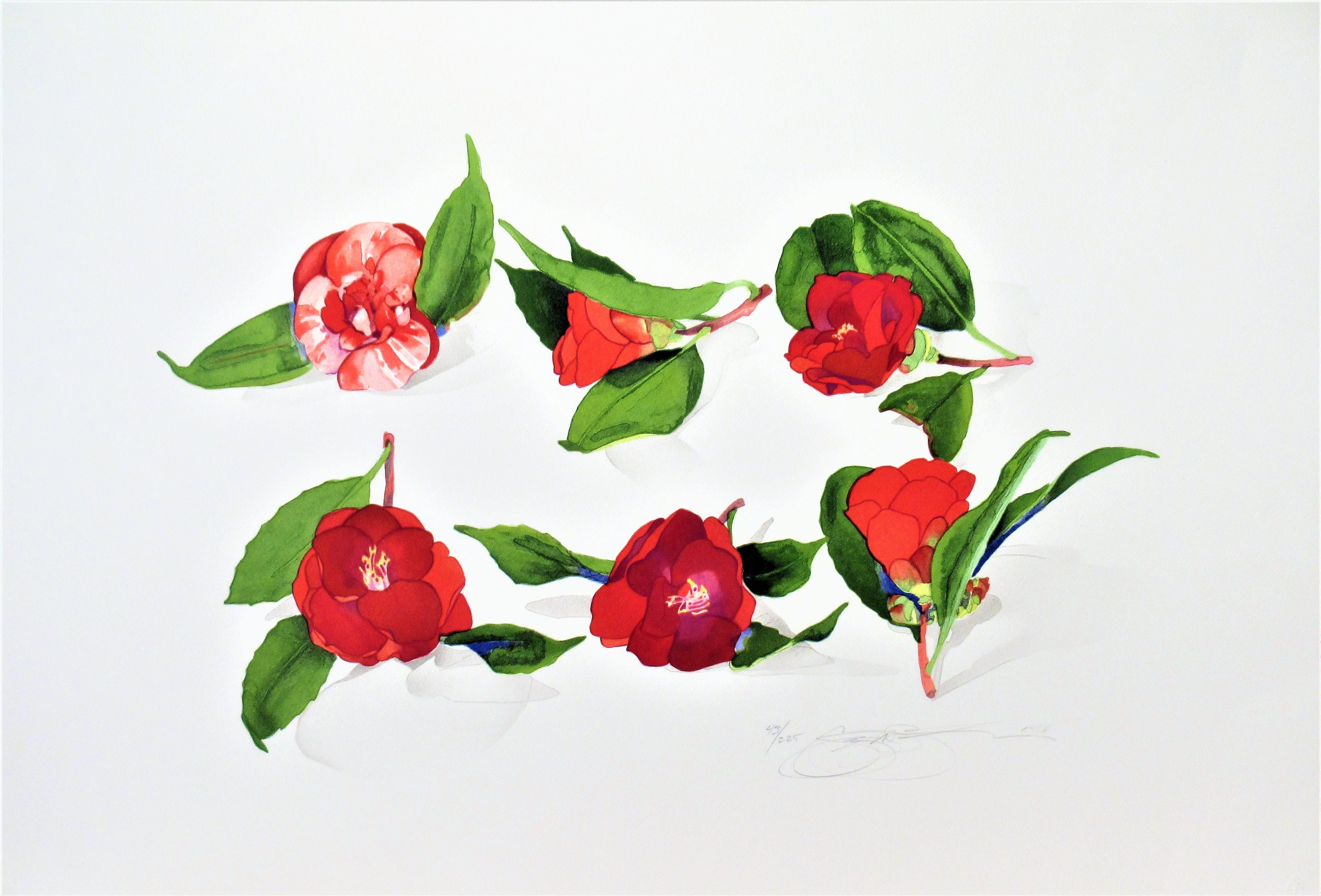 6 Camellias After An Unknown Japanese Artist