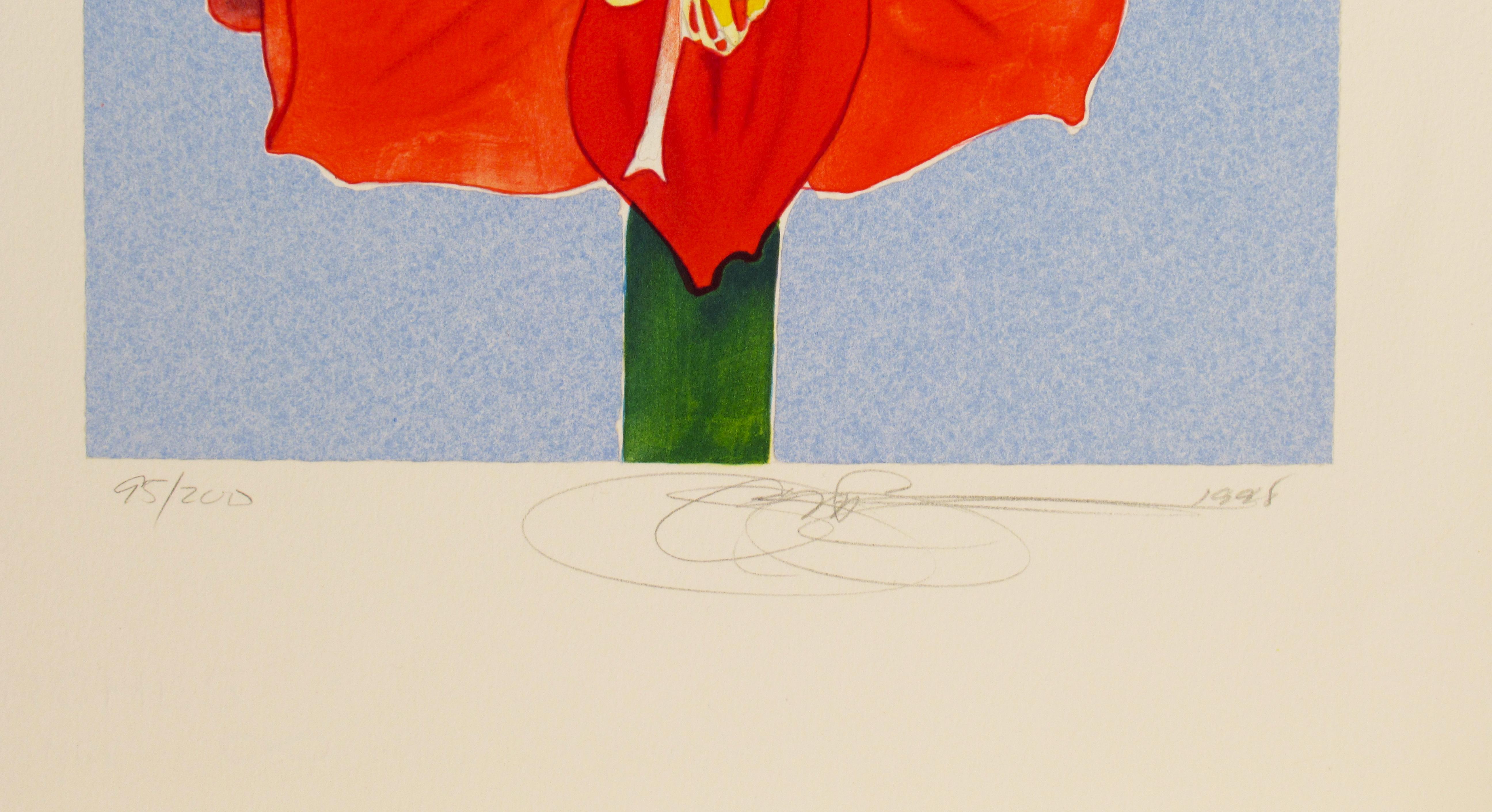1926 Vintage GARDEN FLOWER "AMARYLLIS" GORGEOUS COLOR Art Print Lithograph 