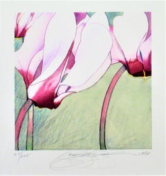 Cyclamen