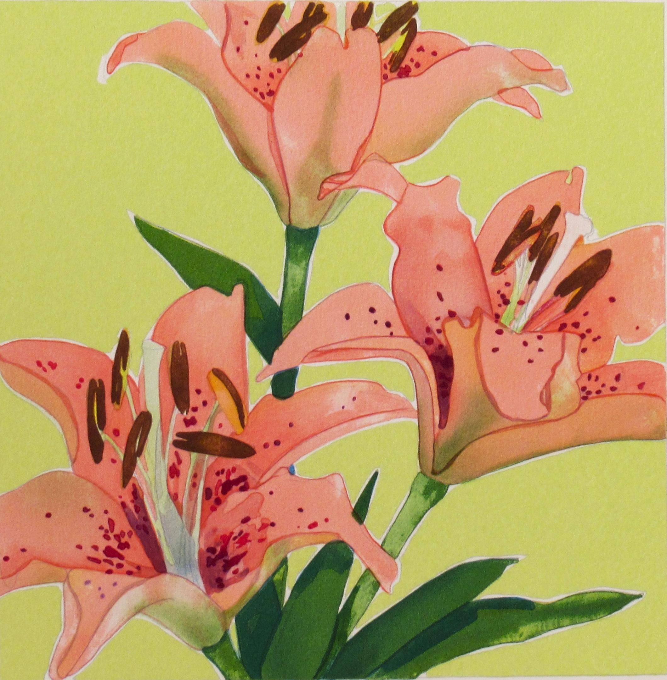 pressed stargazer lily