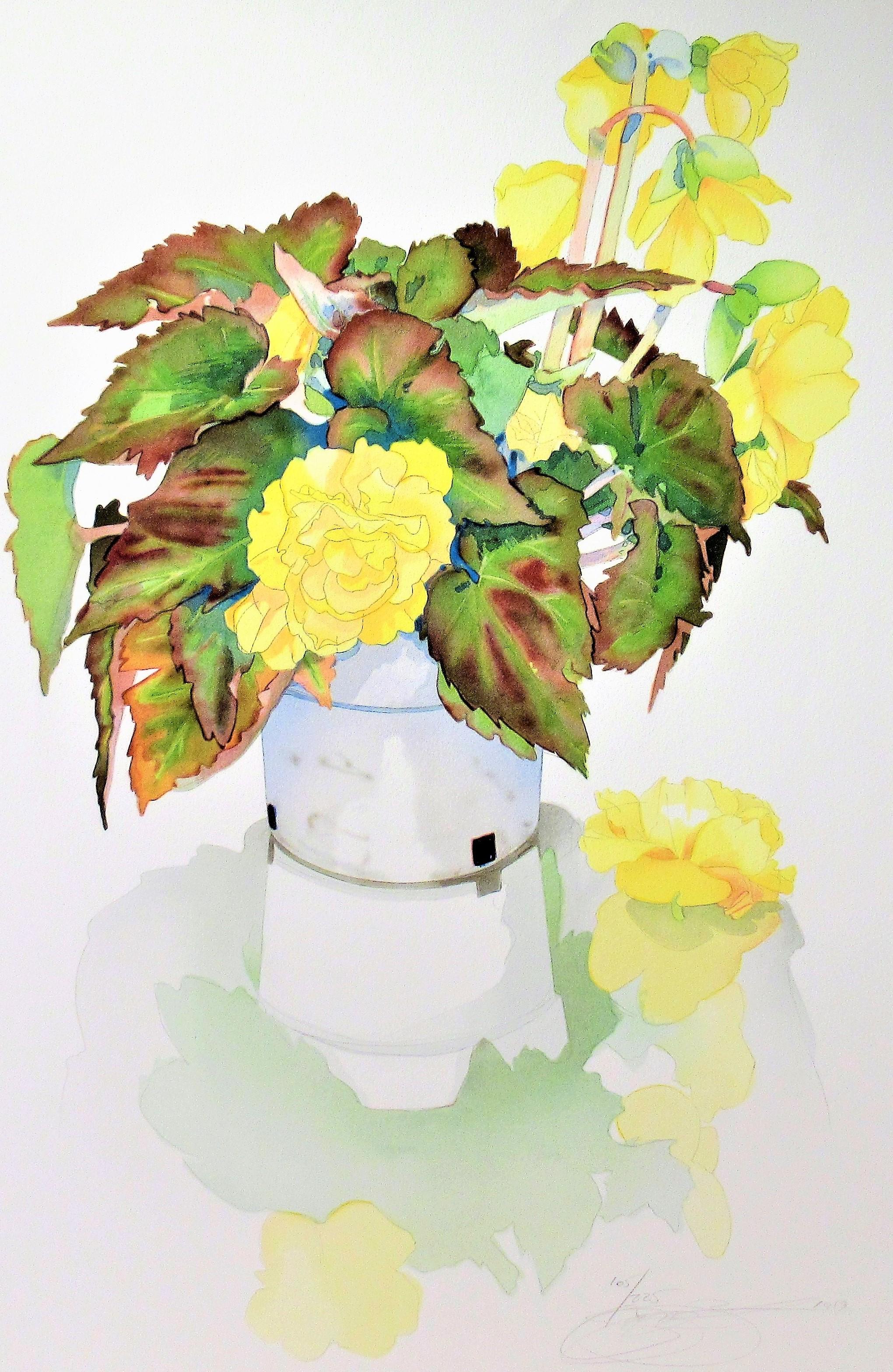 Reflective Begonias - Print by Gary Bukovnik