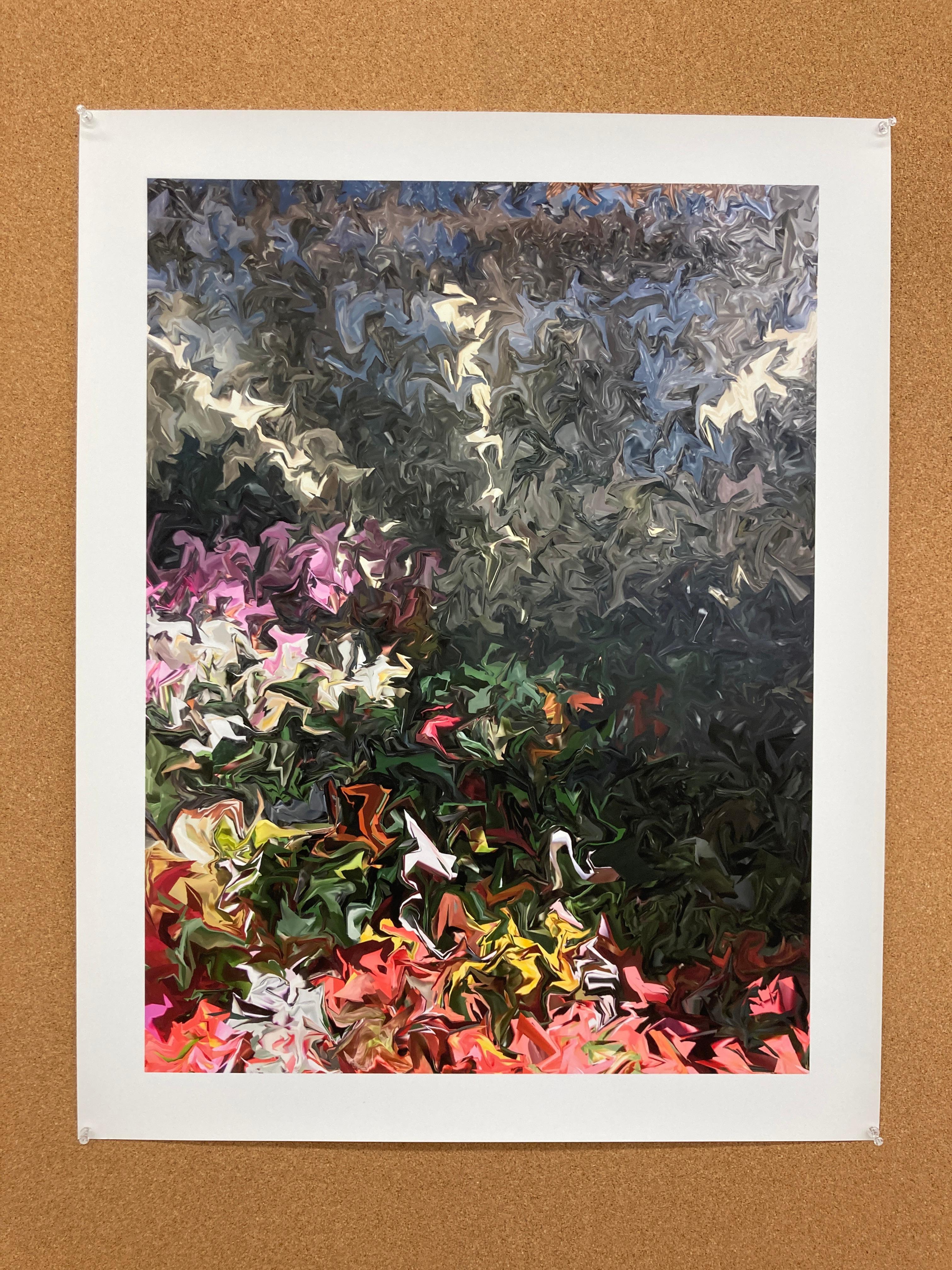 Begonias and Orchids, 2018, digitally manipulated photograph, signed - Print by Gary Cruz