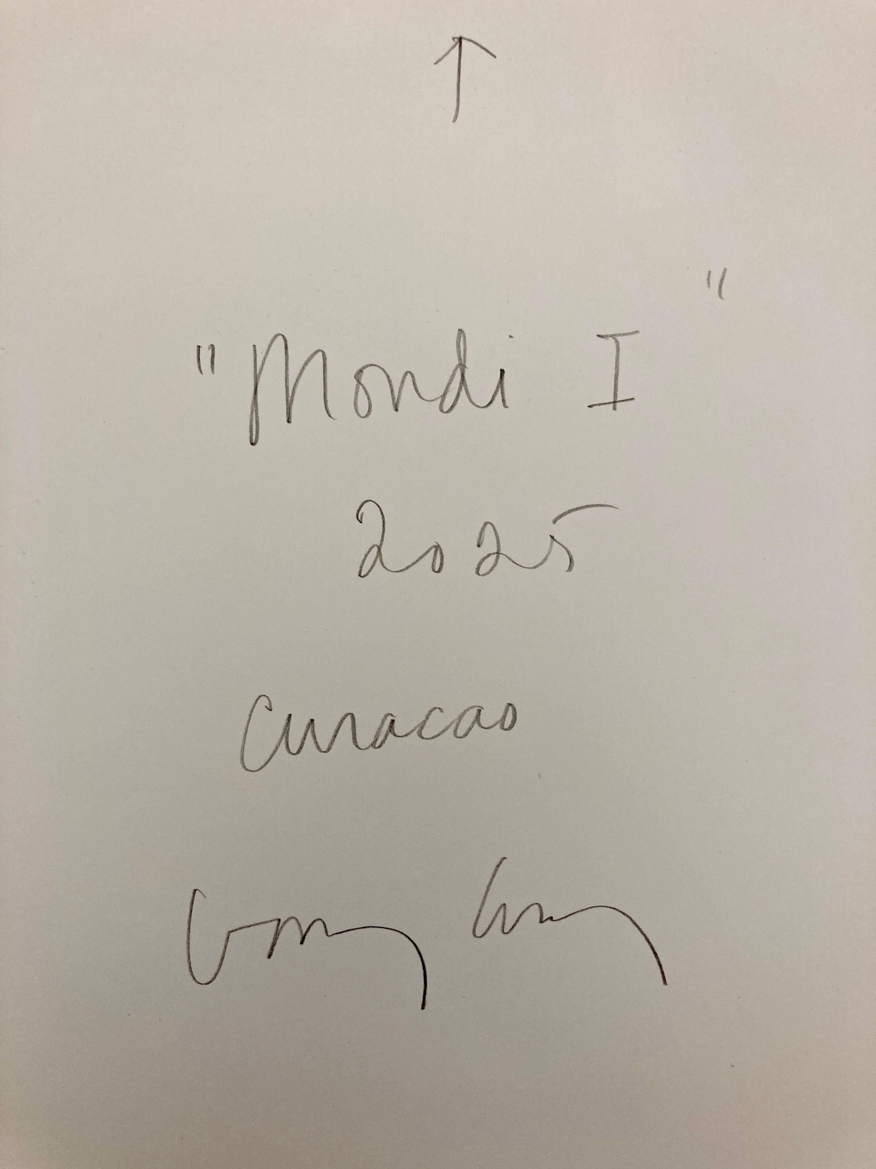 Mondi I, 2025, Curacao, Unique pigment print, digitally made by hand For Sale 2