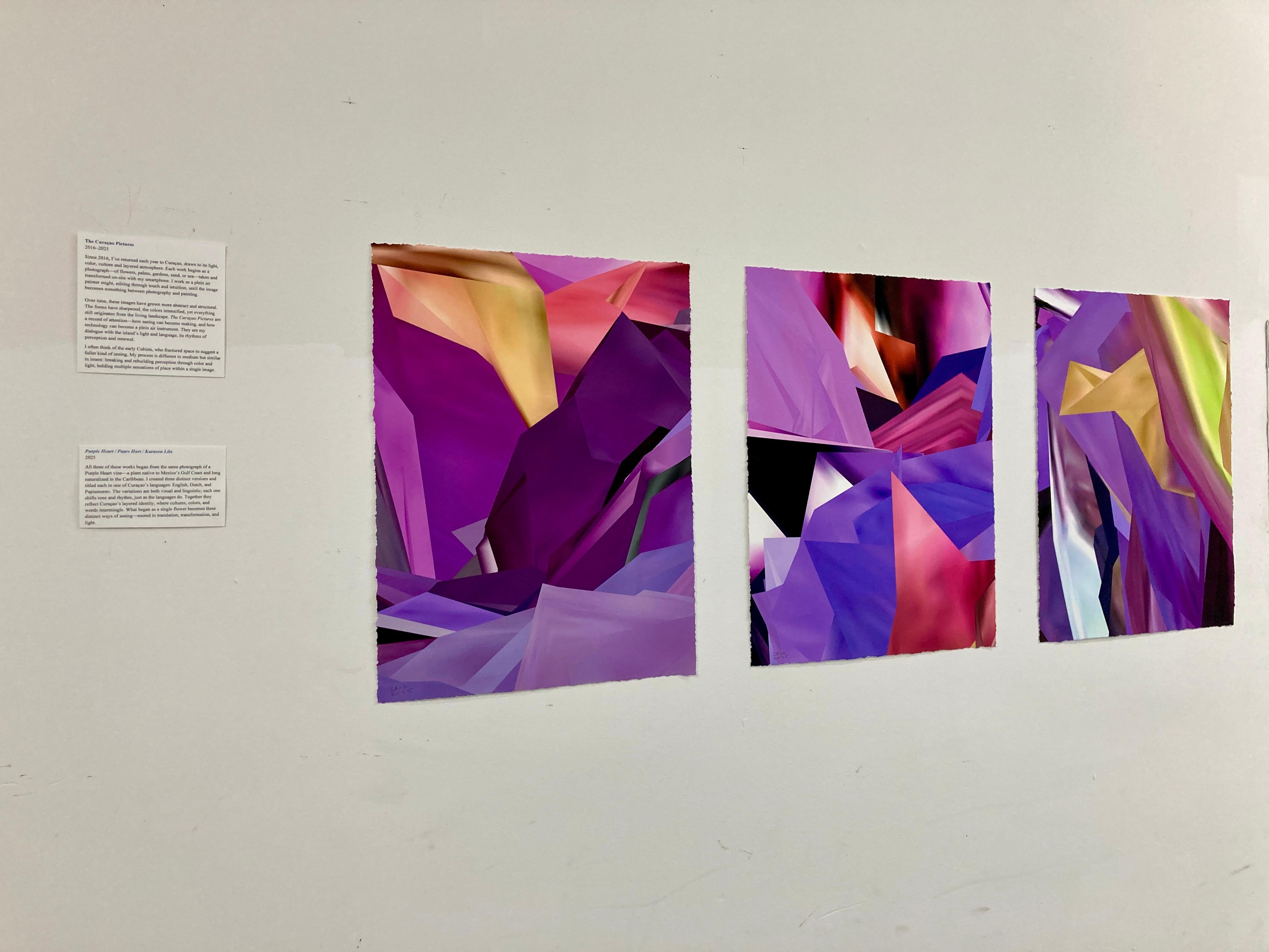 Purple Heart, 2025, Curacao, Unique pigment print, digitally made by hand - Abstract Photograph by Gary Cruz