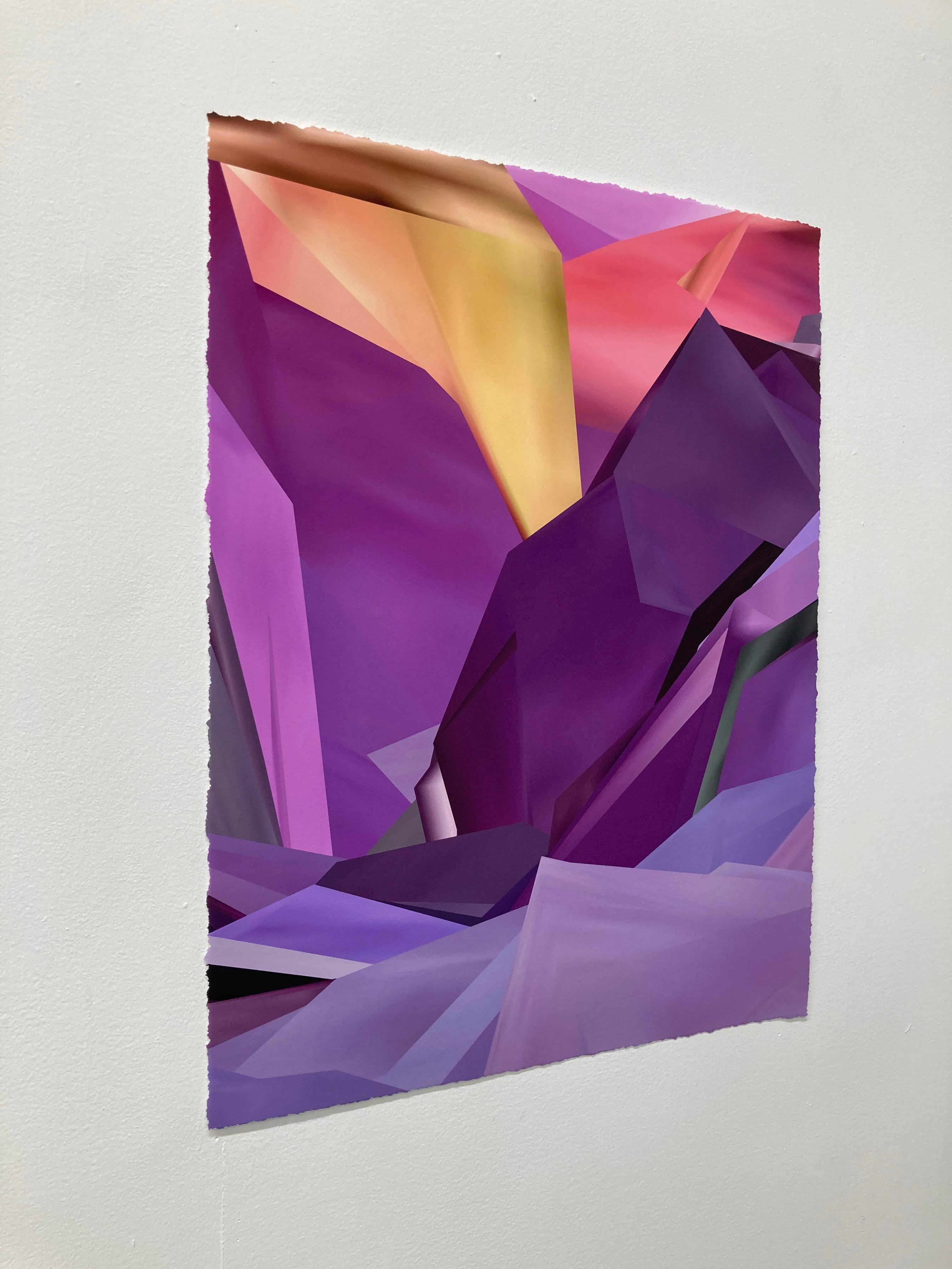 Purple Heart, 2025, Curacao, Unique pigment print, digitally made by hand For Sale 1