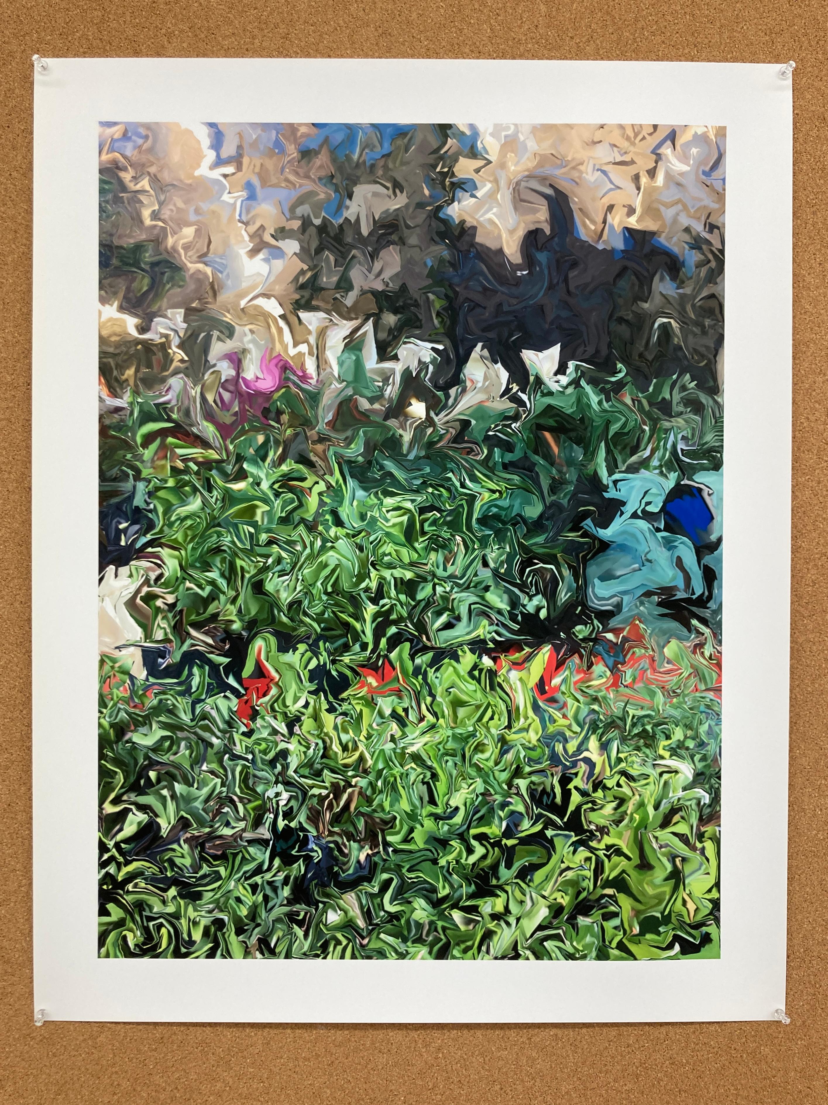 Succulents, 2018, digitally manipulated photograph, signed - Print by Gary Cruz