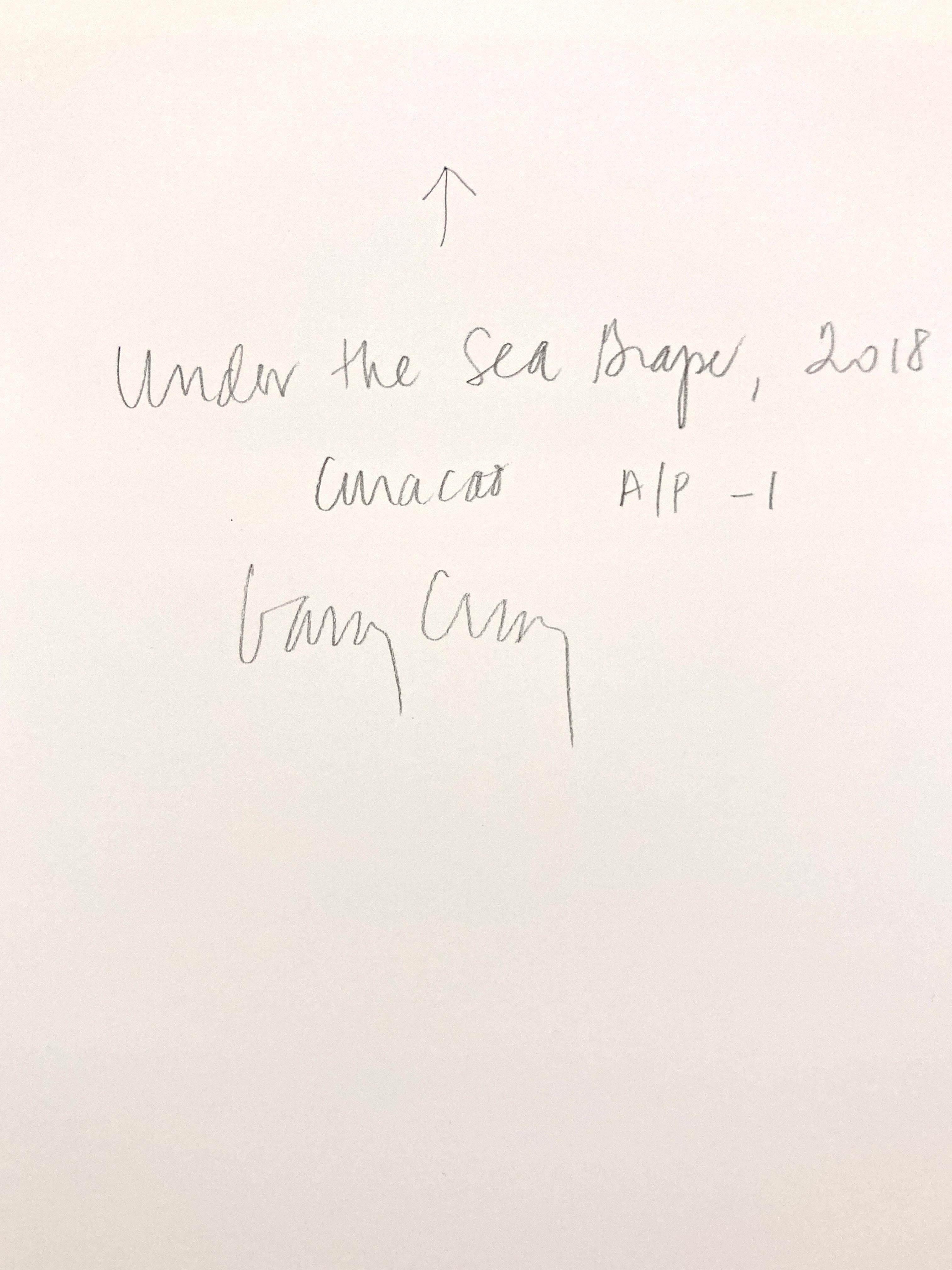 Under the Sea Grape, 2018 is part of the artist's 