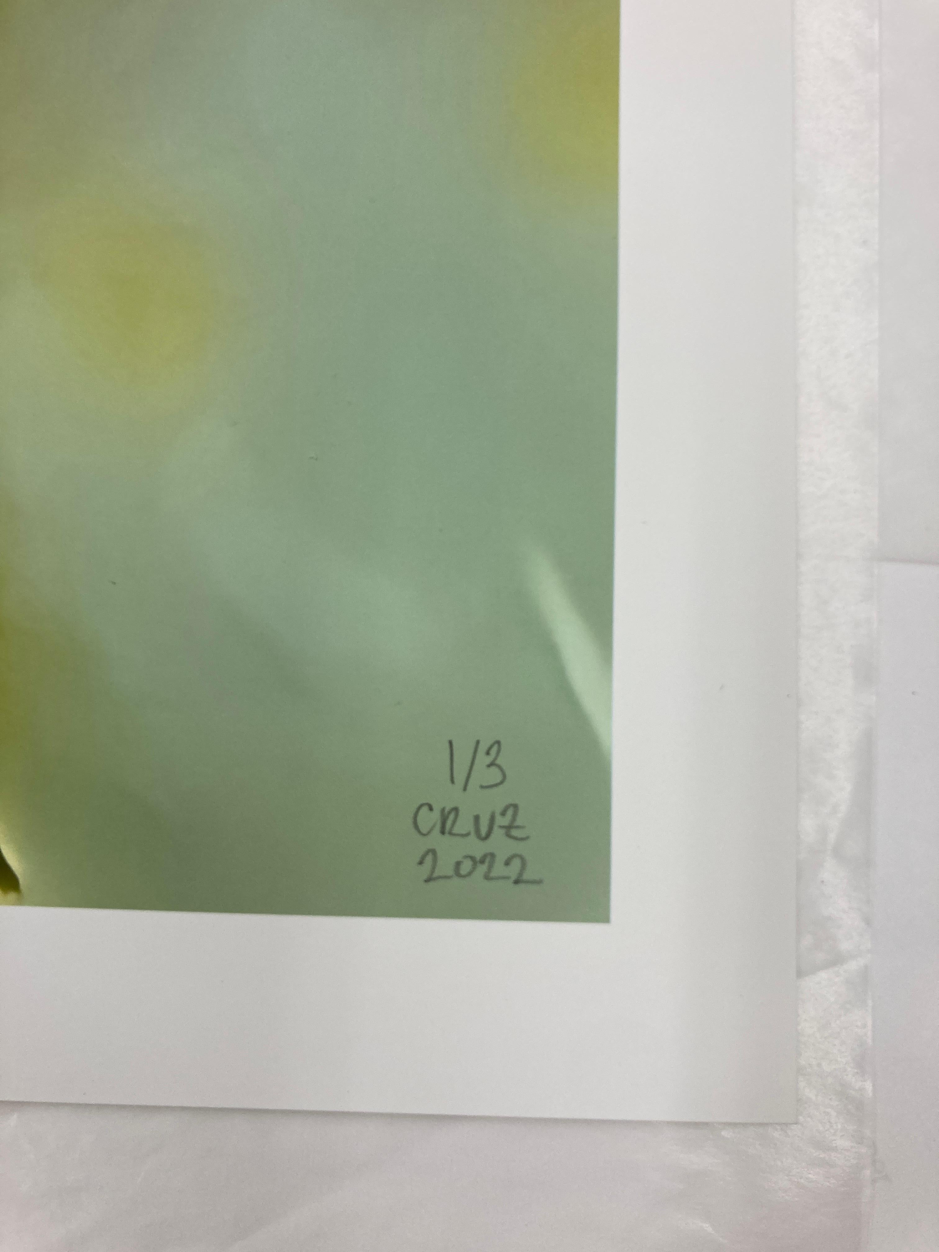Iris Eye #11, 2022, digitally made print, edition of 3, signed - Abstract Photograph by Gary Cruz