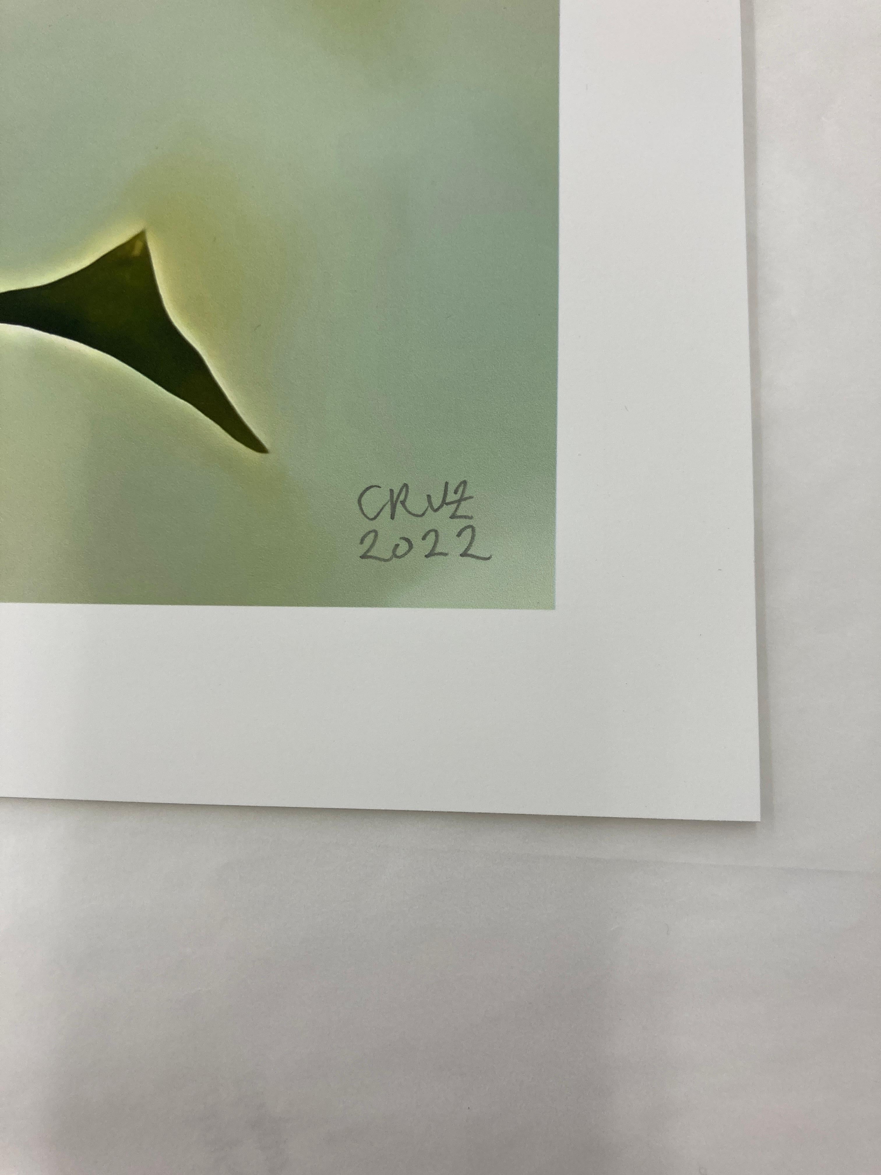 Iris Eye #12, 2022, digitally made print, edition of 3 signed - Beige Abstract Print by Gary Cruz