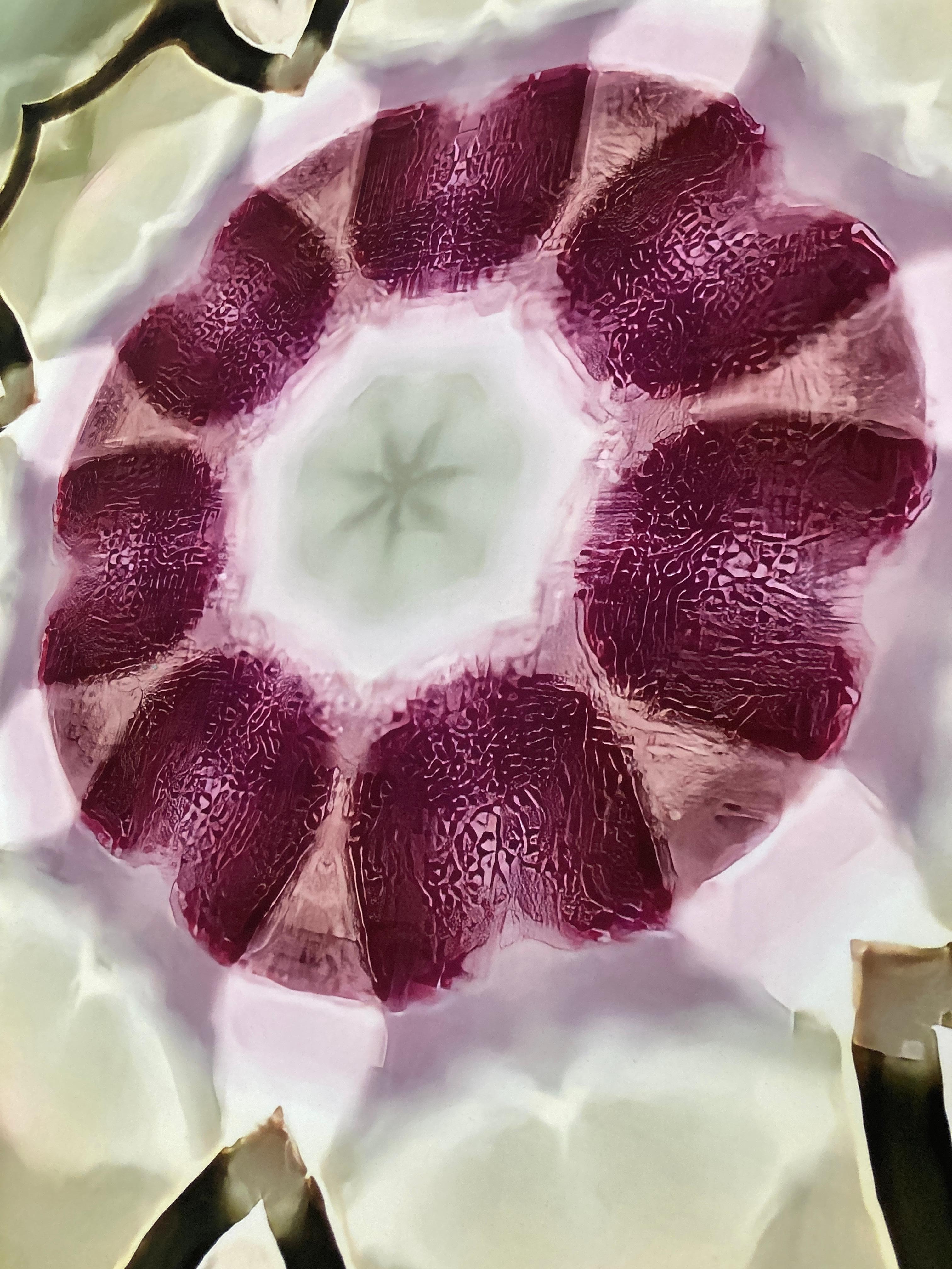 Iris Eye #13, 2022, digitally made abstract print, edition of 2, signed - Abstract Photograph by Gary Cruz