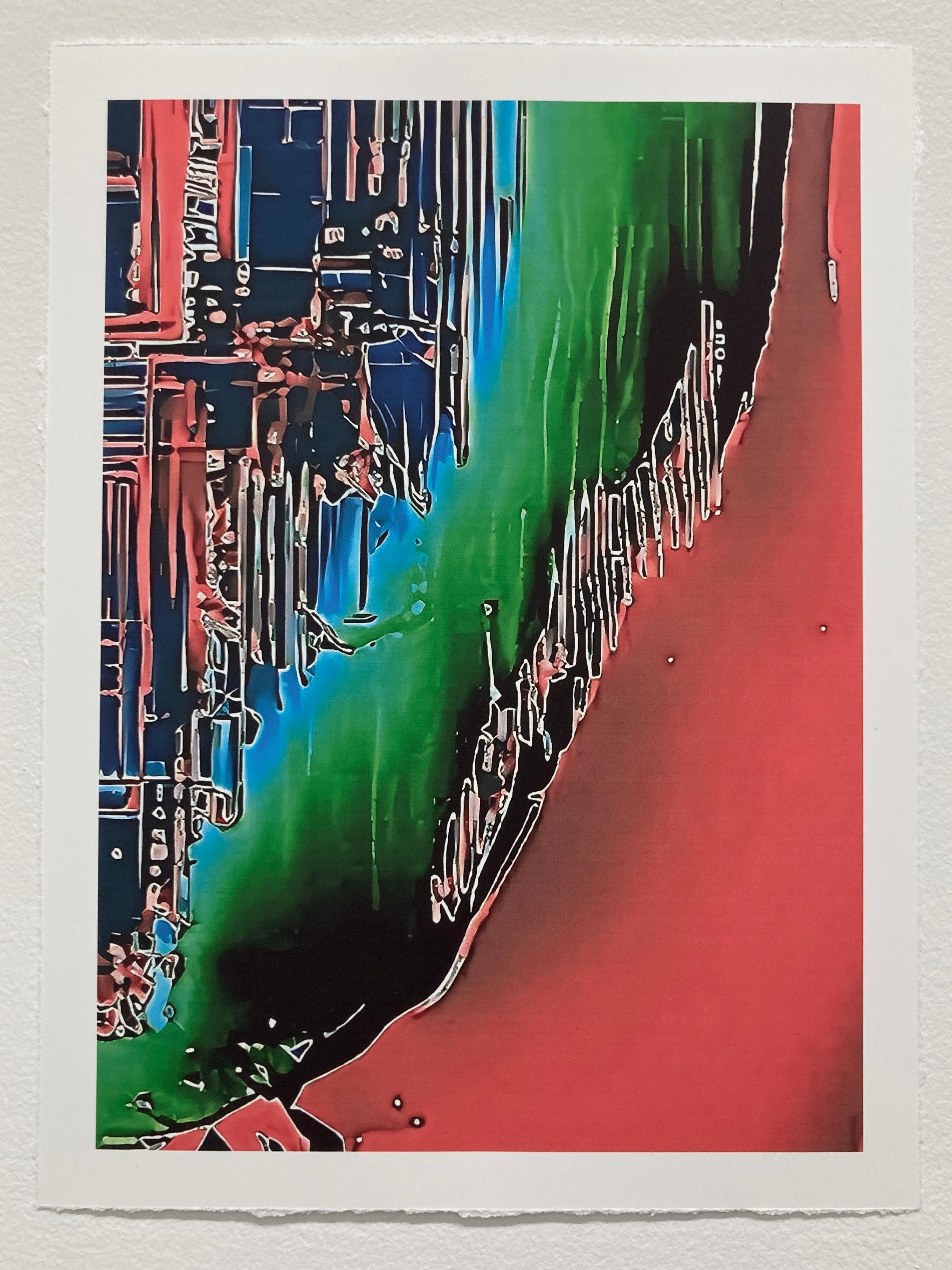 Locust III, 2024, unique pigment print, signed - Print by Gary Cruz
