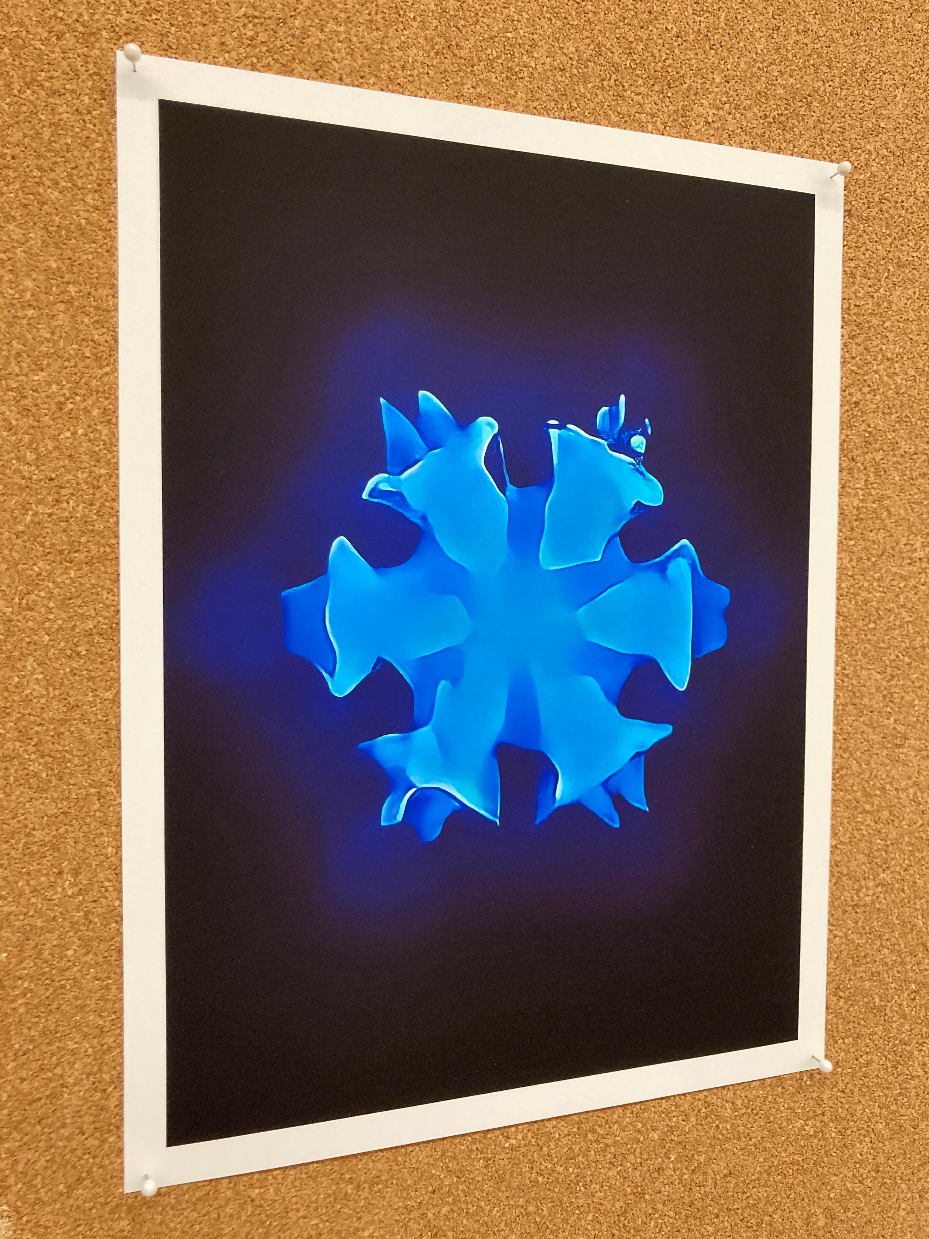 Periphery Blue, digitally made print, edition of 10, signed For Sale 7