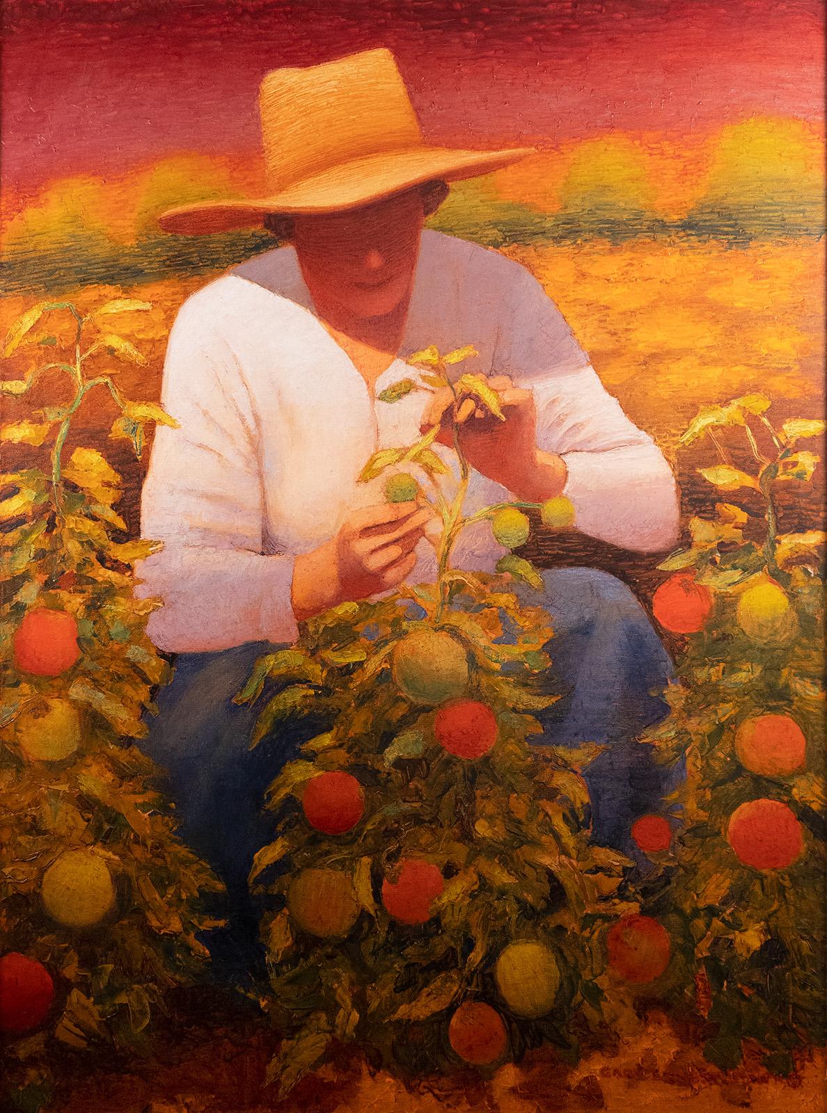 Tomato Harvest by Gary Ernest Smith 1