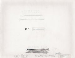 Lou Reed at Beacon Theatre Vintage Original Photograph