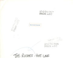 The Roches Performing at The Bottom Line Vintage Original Photograph