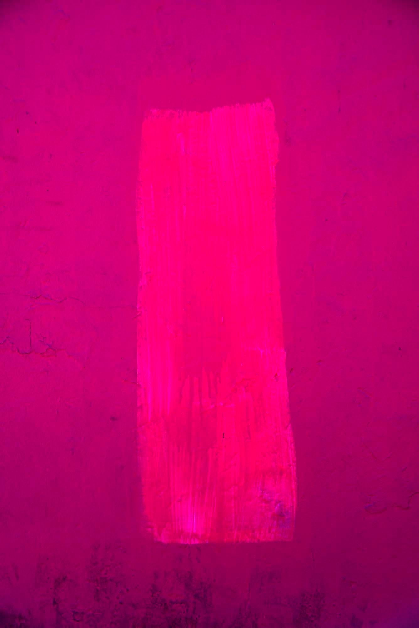 Trouver l'Univers en Oaxaca, rose sur rose