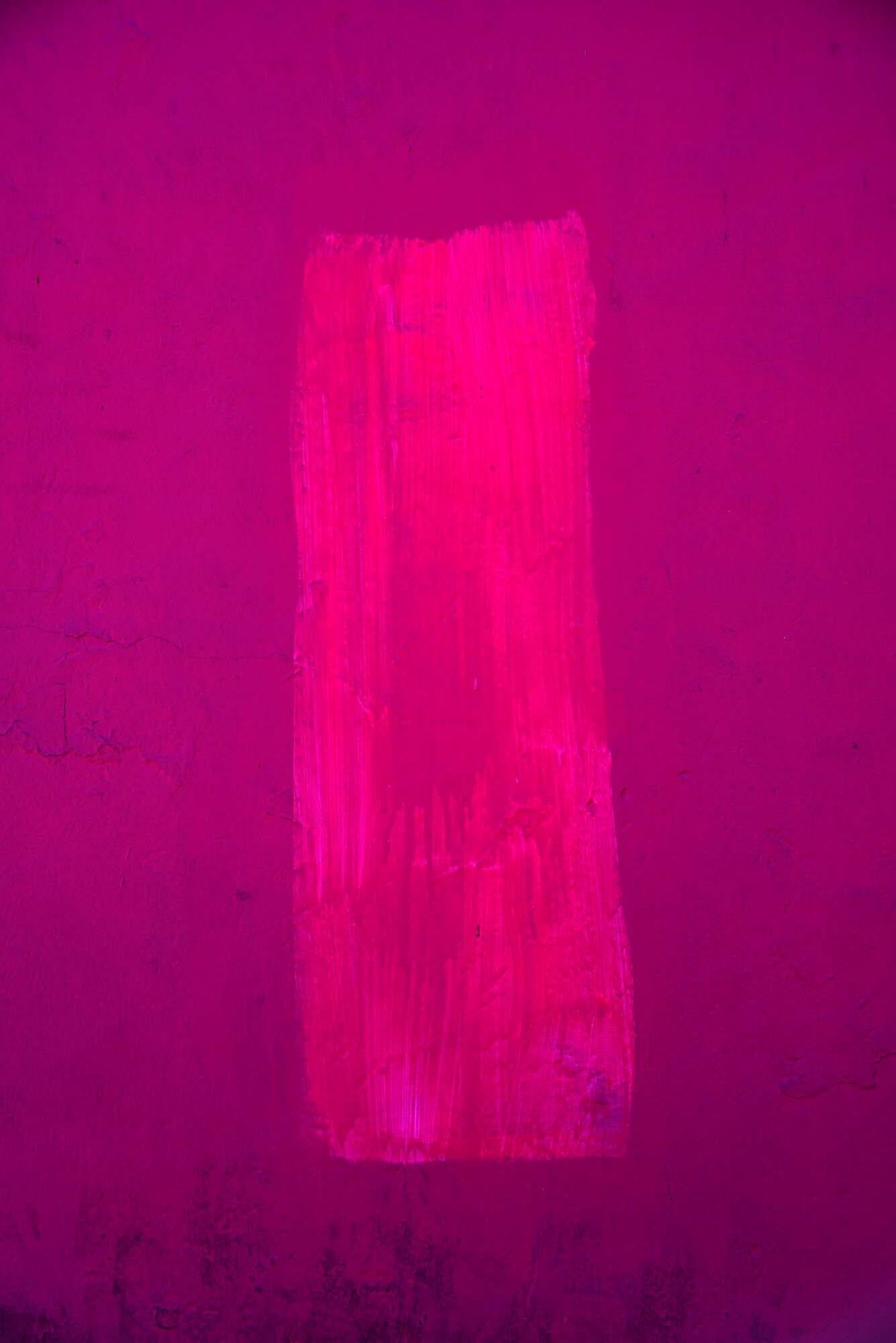 Color Photograph Gary Goldberg  - Trouver l'Univers en Oaxaca, rose sur rose