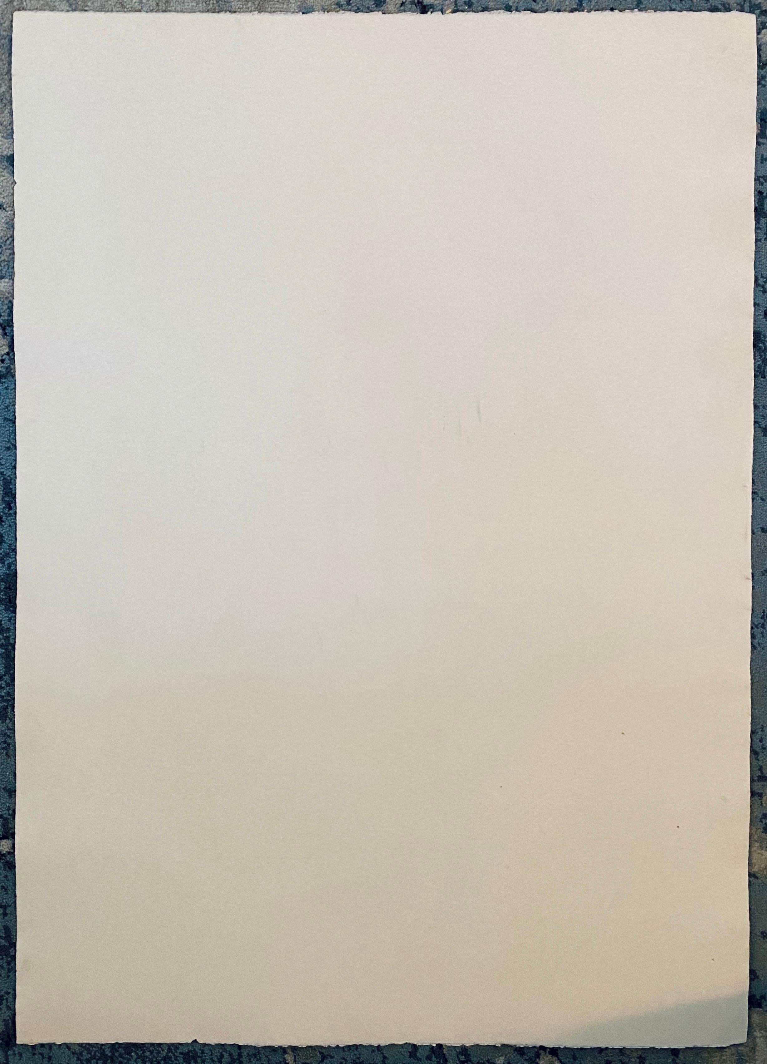  	Il lavoro di Gary Goldstein comprende disegni, oggetti, libri d'artista e dipinti. Si ispira alla Pop Art, al Surrealismo, al Dada e agli Illuminated Manuscripts. Il lavoro di Goldstein trae ispirazione da fonti popolari come fumetti, riviste,