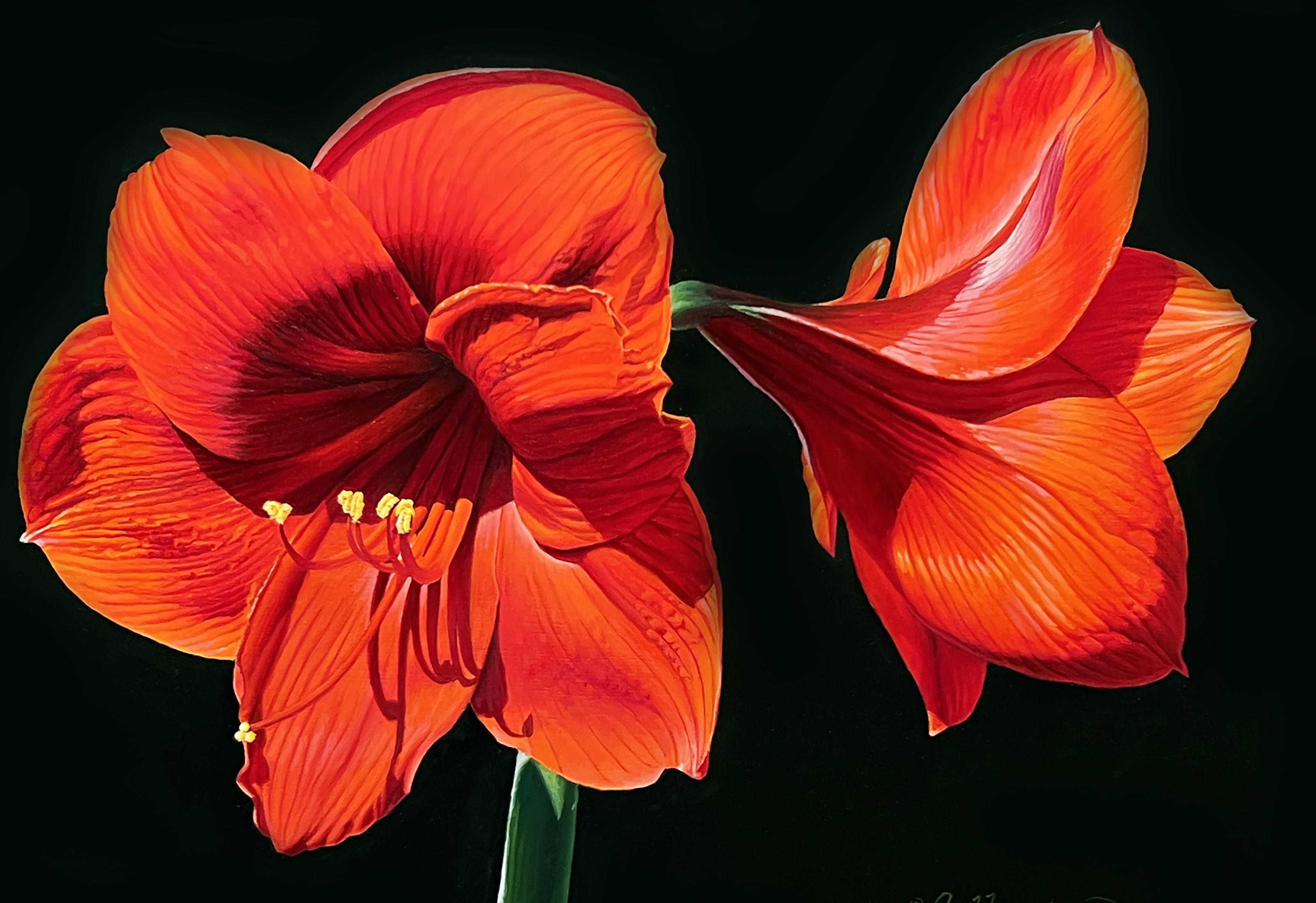 Red Amaryllis, American Realist Artist, Floral Painting, Representational, Framed - Black Still-Life Painting by Gary Hernandez