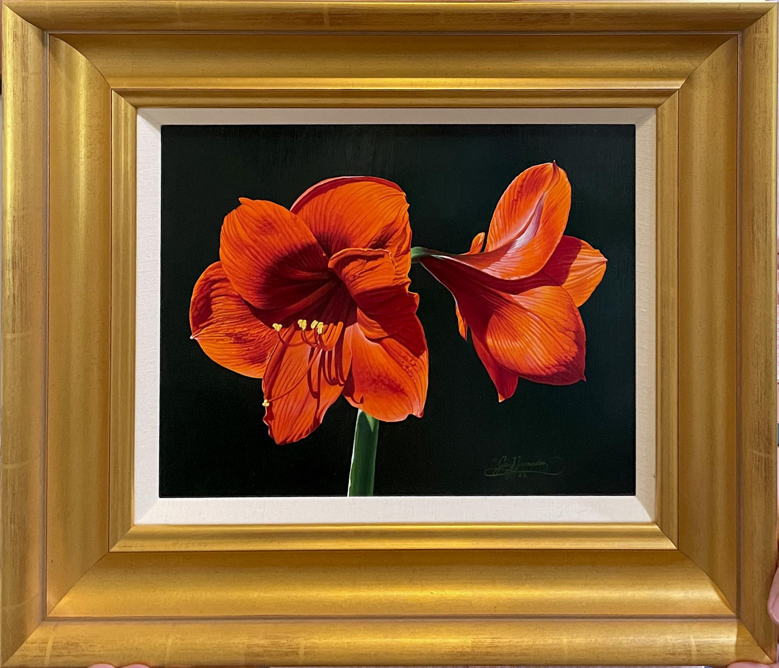 Rote Amaryllis, amerikanischer Realist, Blumengemälde, repräsentativ, gerahmt im Angebot 1