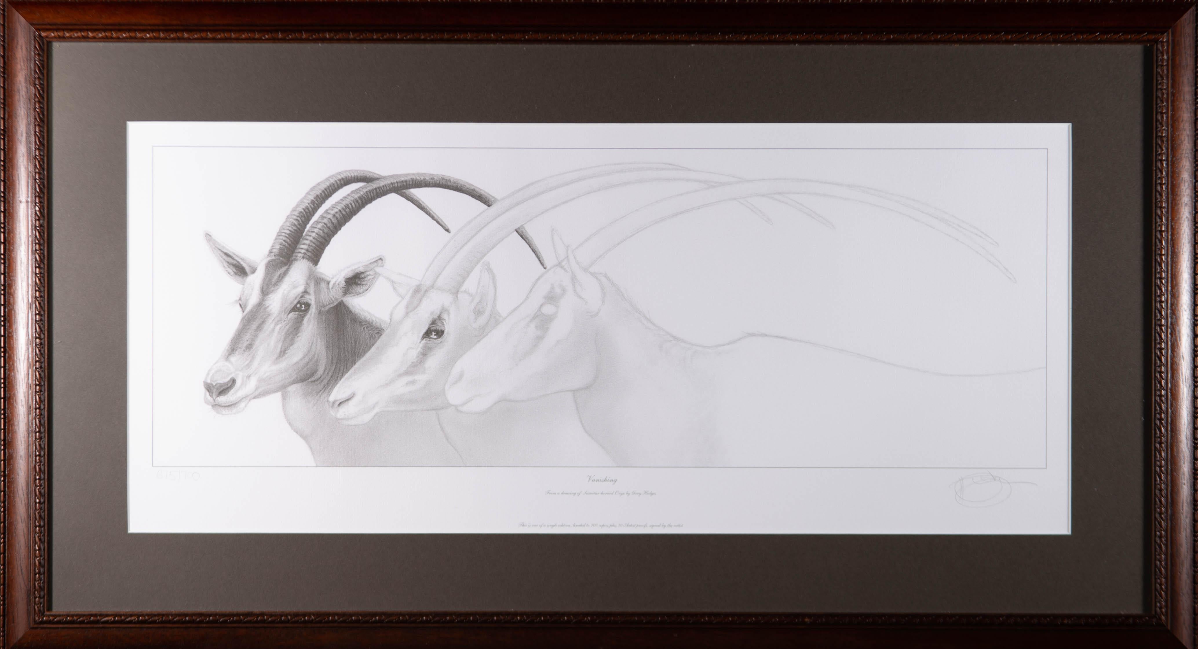 Ein Giclée-Druck in limitierter Auflage (675/700) mit dem Titel "Vanishing" (Verschwinden) nach einer Originalzeichnung eines Oryx mit Säbelhorn des britischen Künstlers Gary Hodges. Der Künstler hat in der rechten unteren Ecke in Graphit signiert.